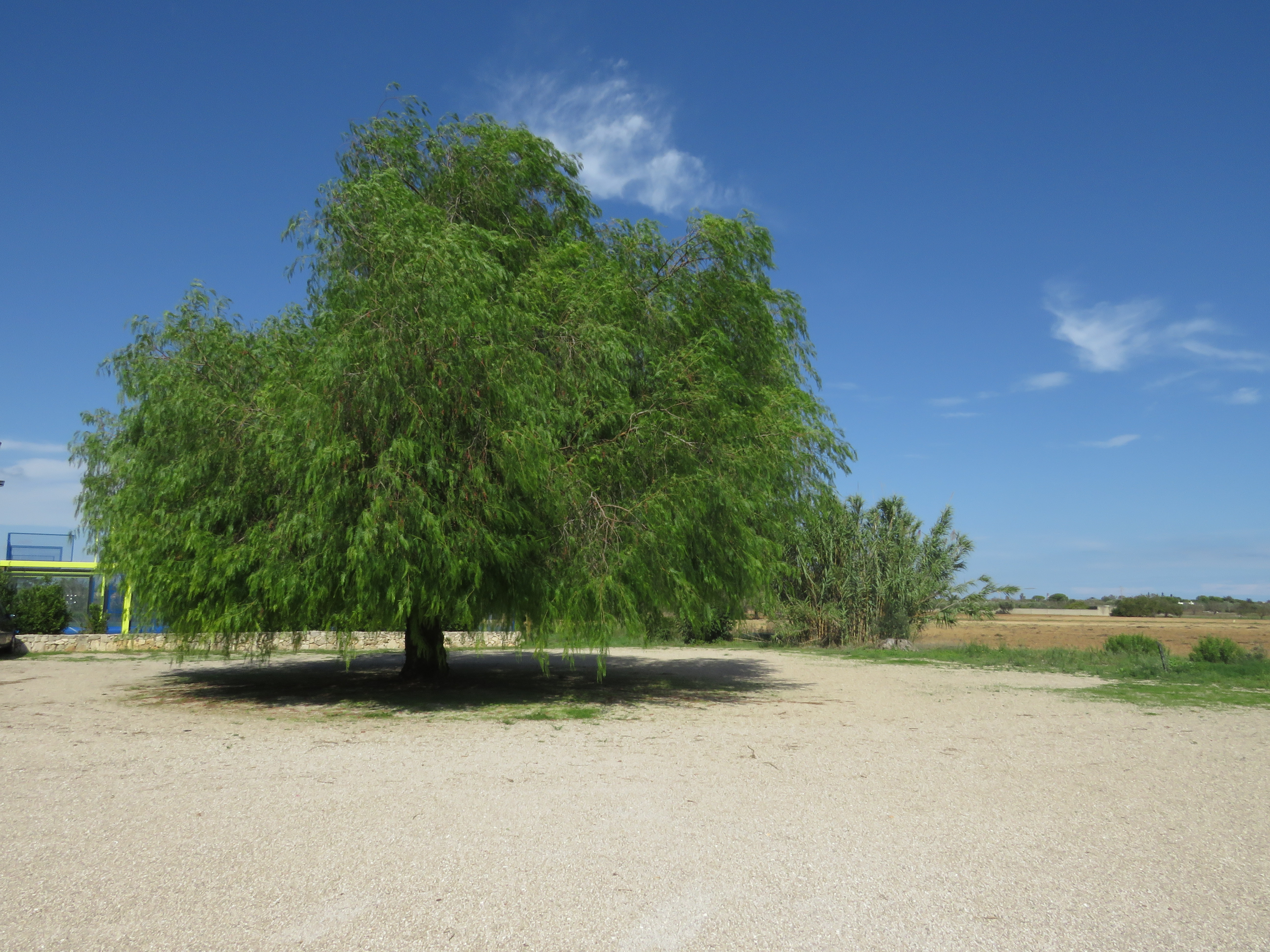 Struttura immersa nel verde a San Cesario di Lecce