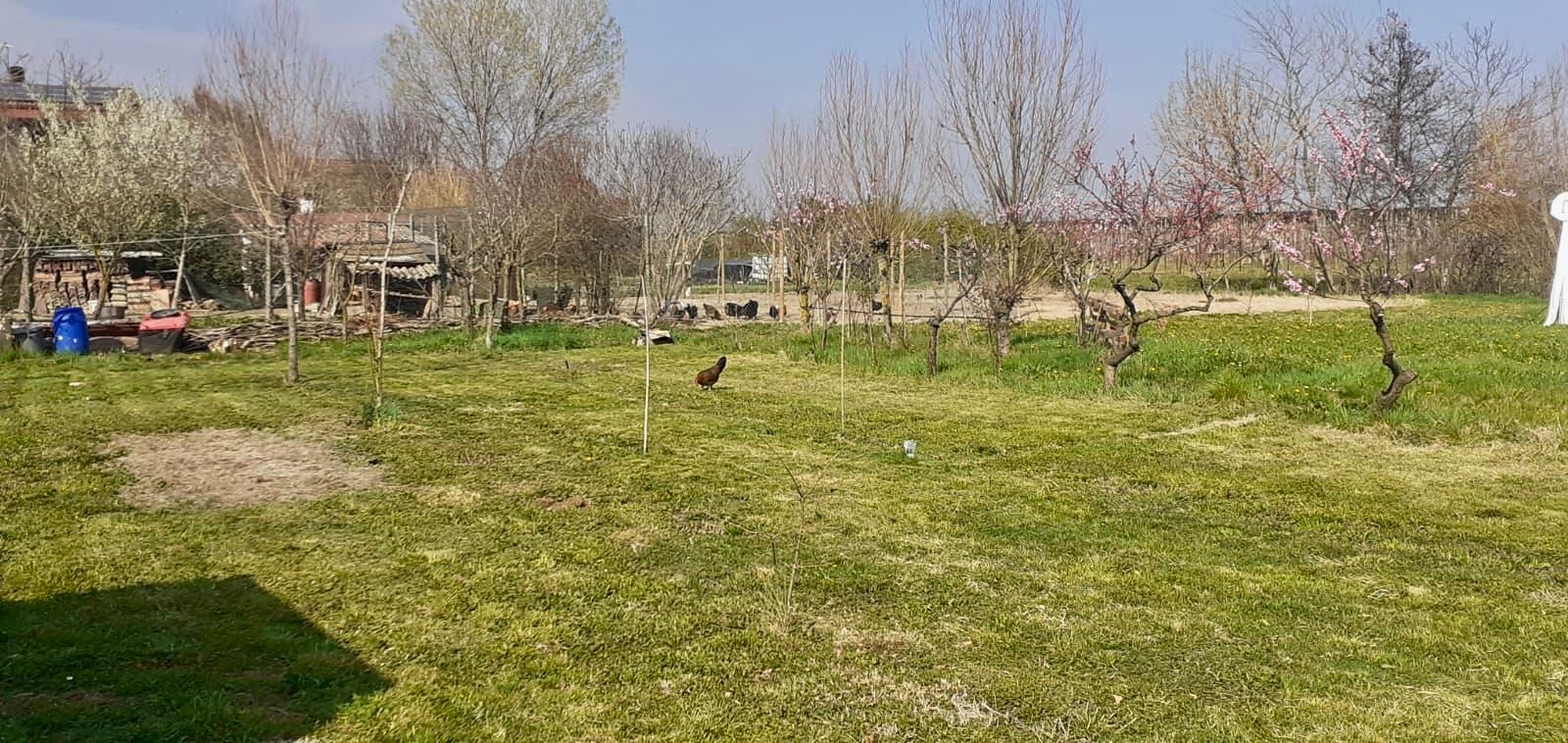 Oasis de paz, cerca de Venecia
