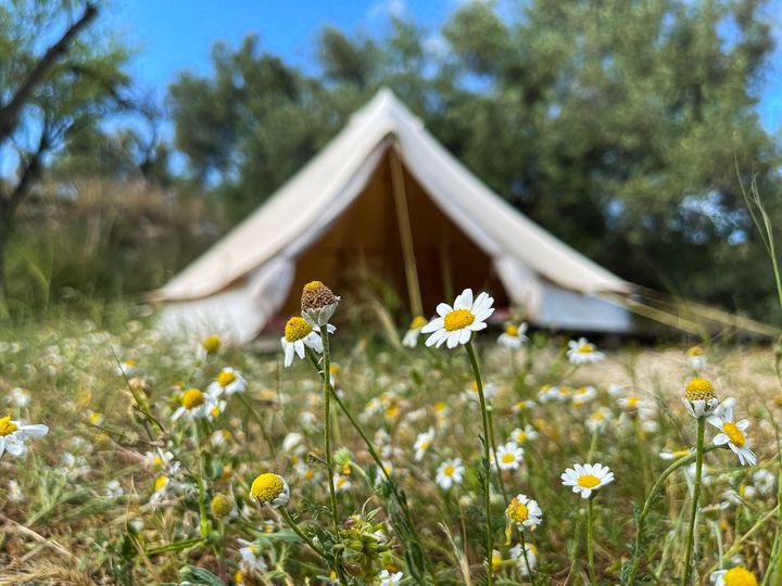 Shauri Glamping a Noto