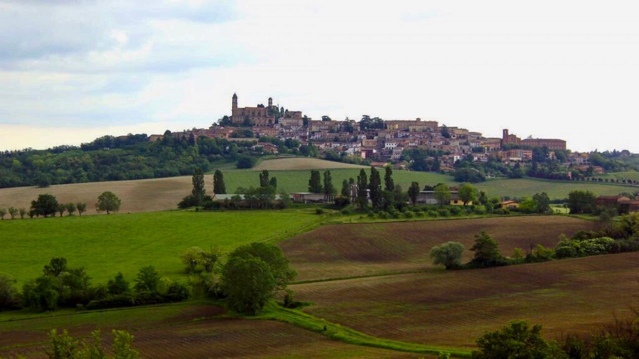 Boschetto - Life on the Hill: Tra Rose, Vigne e Sentieri
