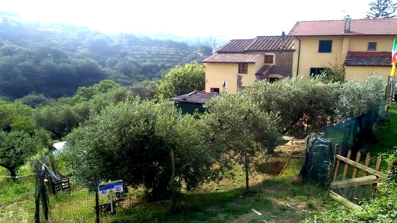 Campo base: esperienza naturale e avventura nel cuore della Toscana