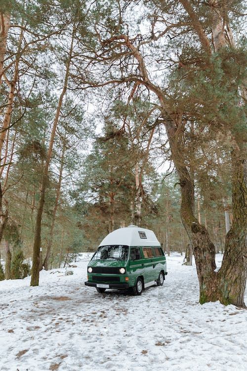 Nido delle Naiadi garden - Piazzole camper nella Riserva di Biosfera delle Alpi Giulie