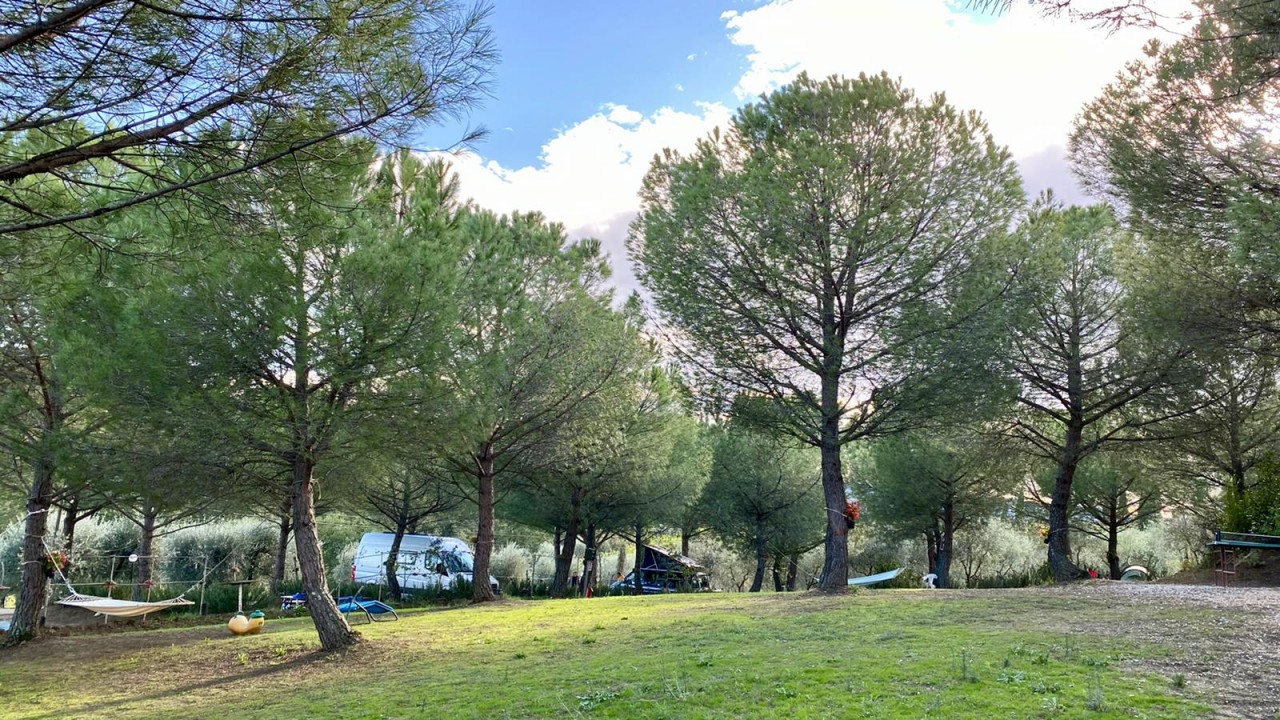 Piazzole all'ombra naturale nel cuore della Toscana