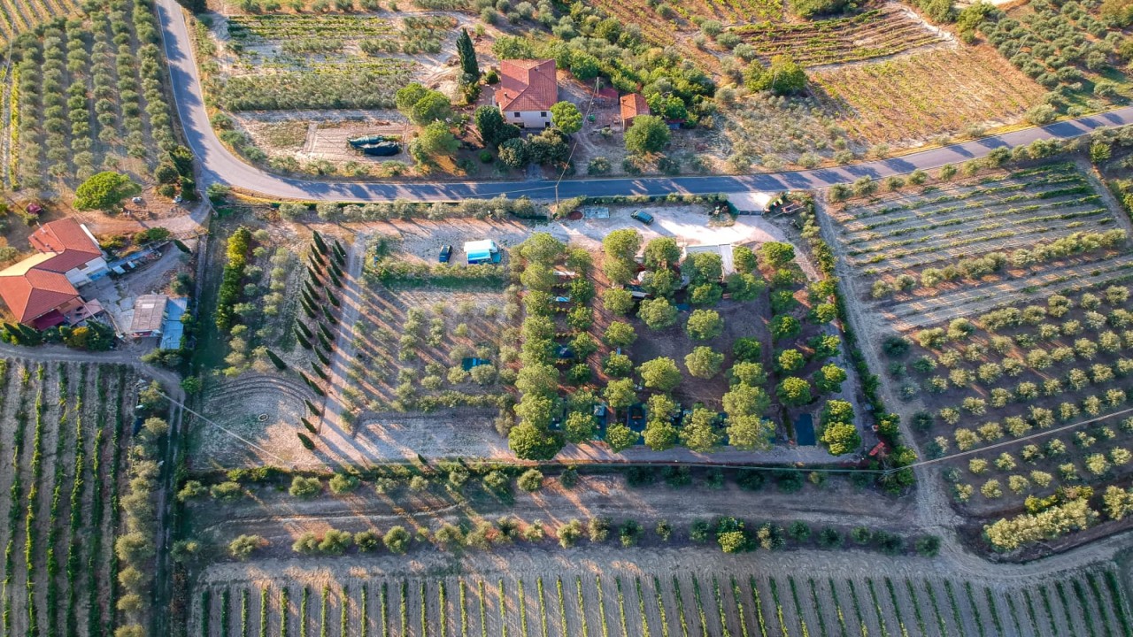 Piazzole all'ombra naturale nel cuore della Toscana