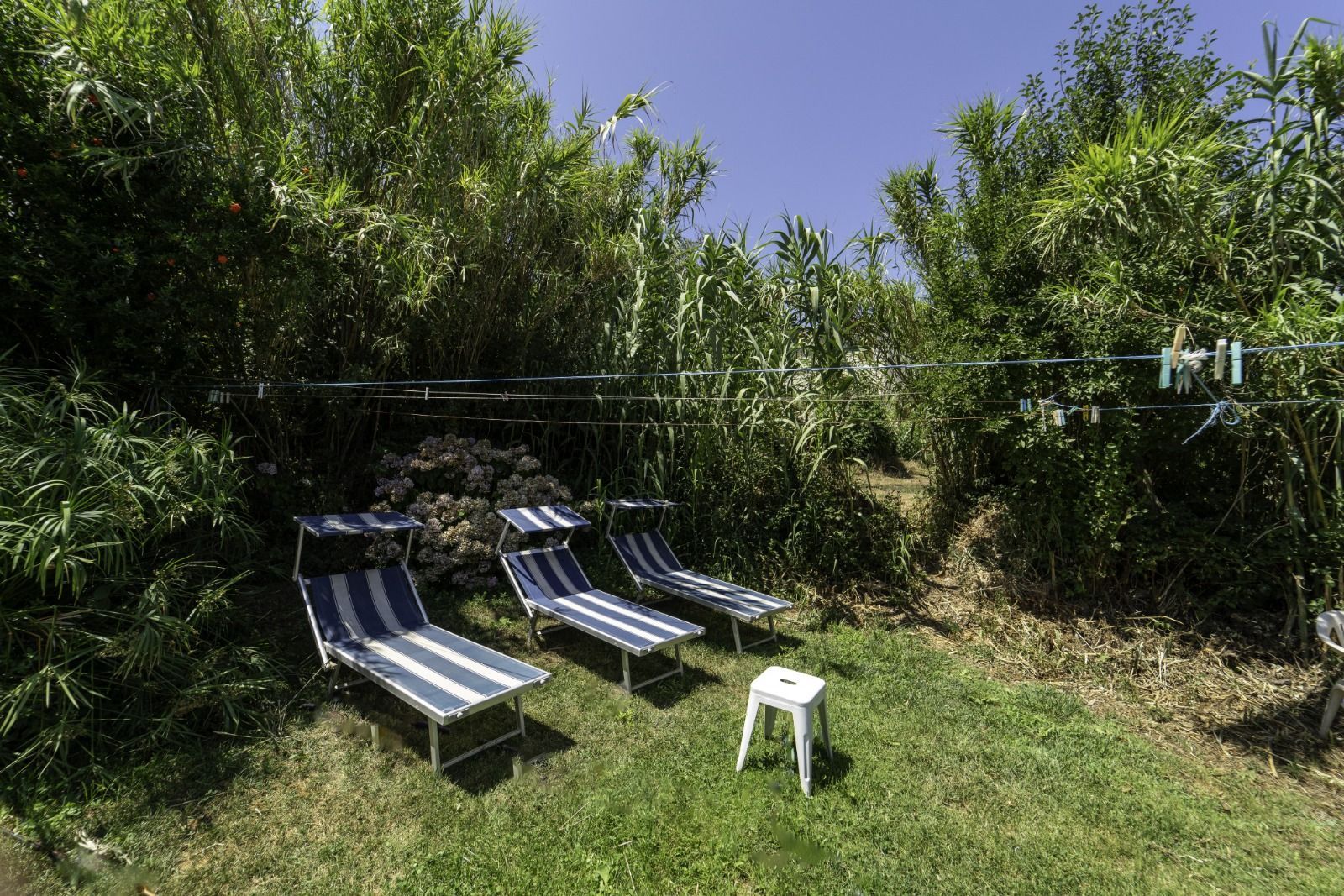 Il Giardino delle Ortensie