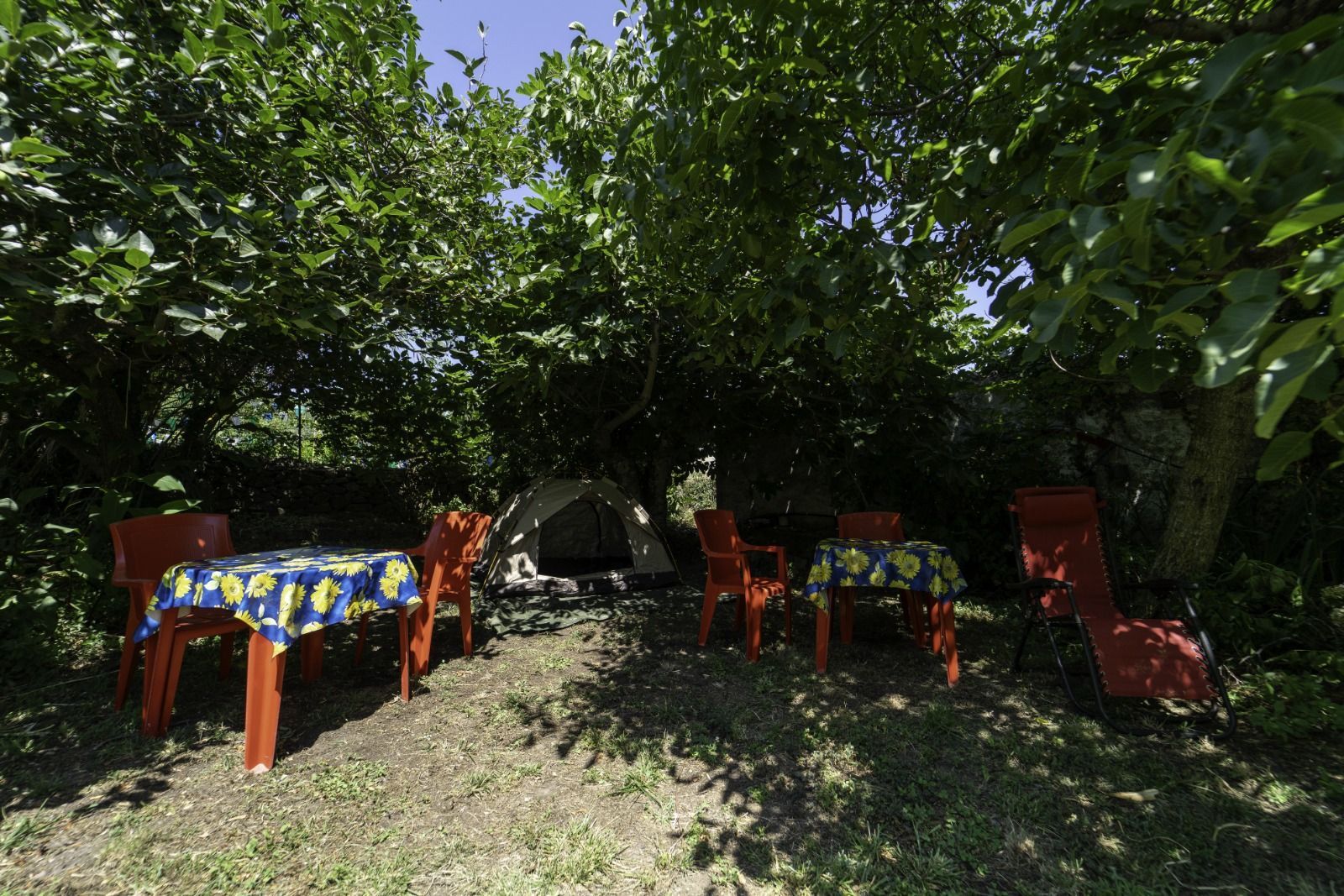 Il Giardino delle Ortensie