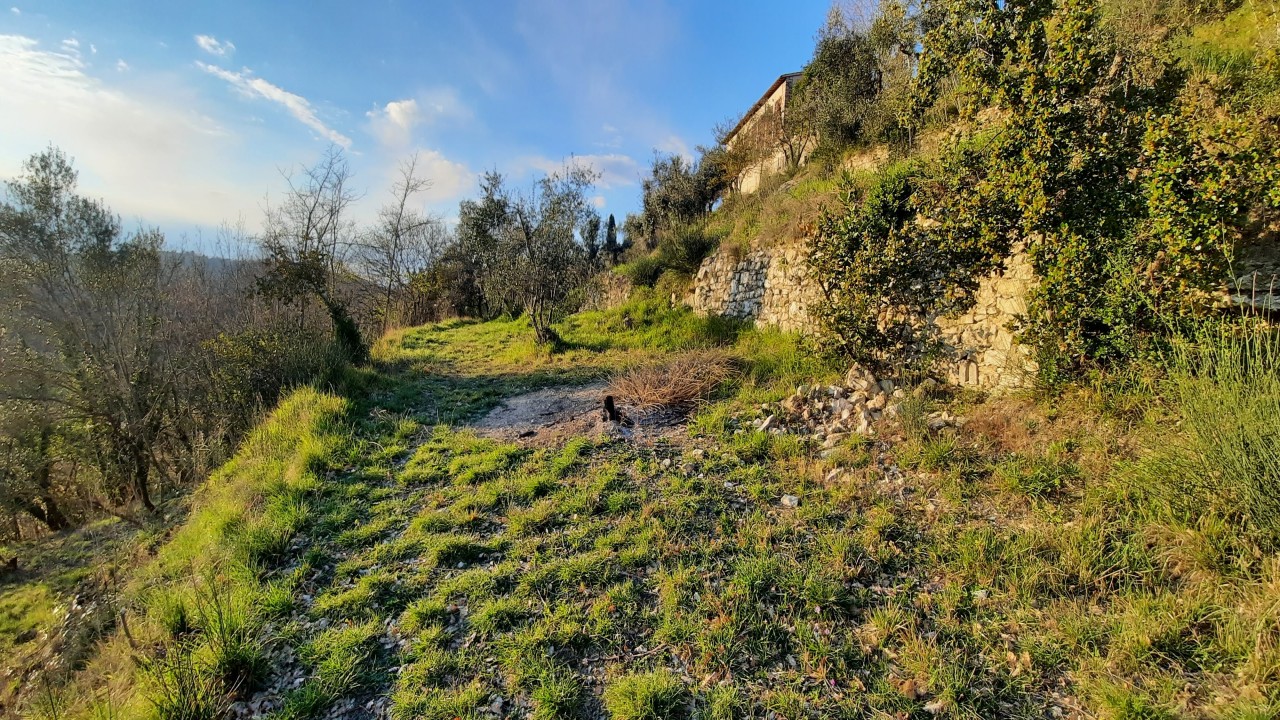 Tent site in Antella