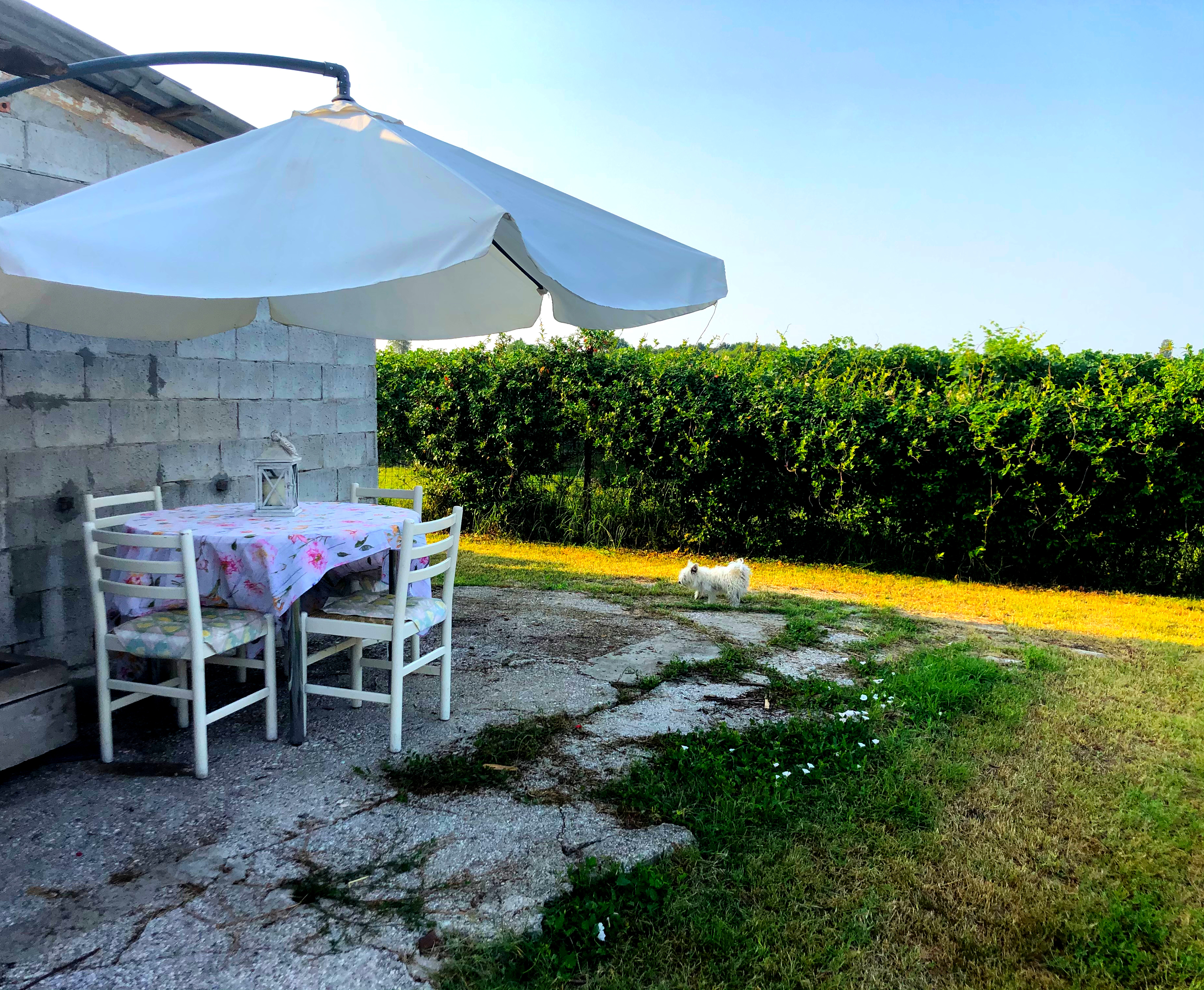 Casa Constanza