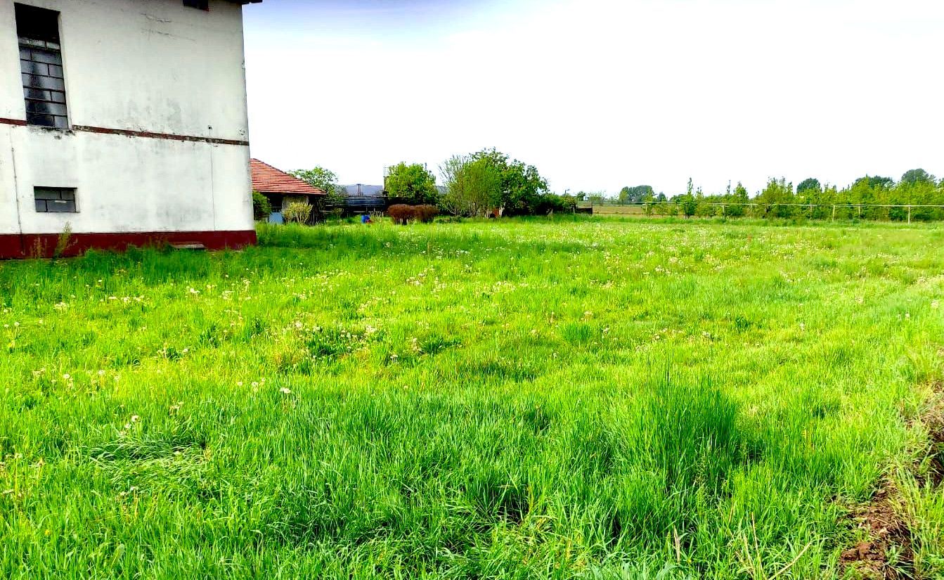 Prato per immergersi nella natura a Cigliano