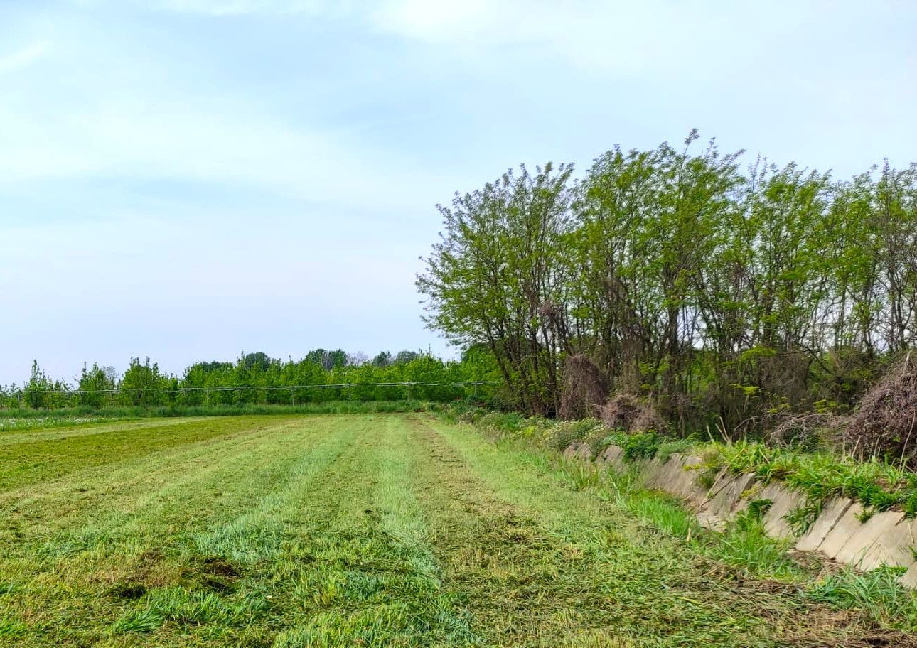 Prato per immergersi nella natura a Cigliano