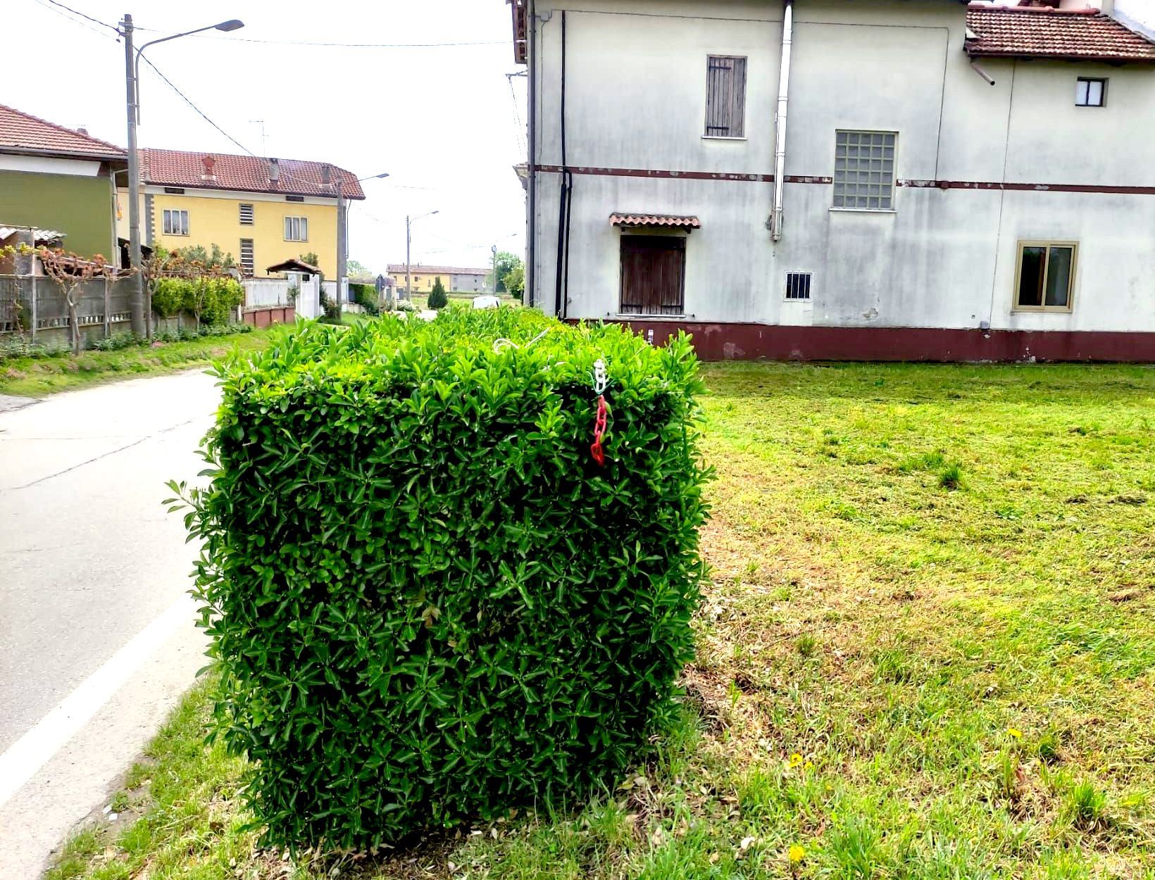 Prato per immergersi nella natura a Cigliano
