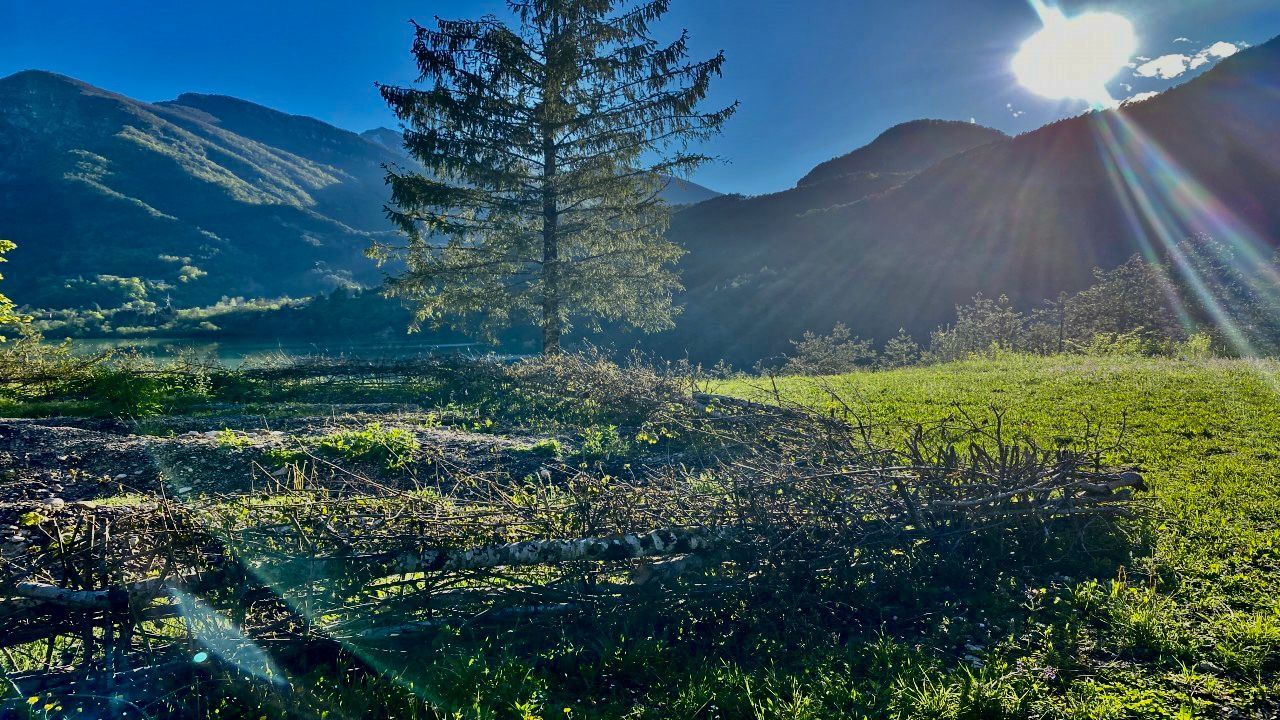 Détente au bord du lac