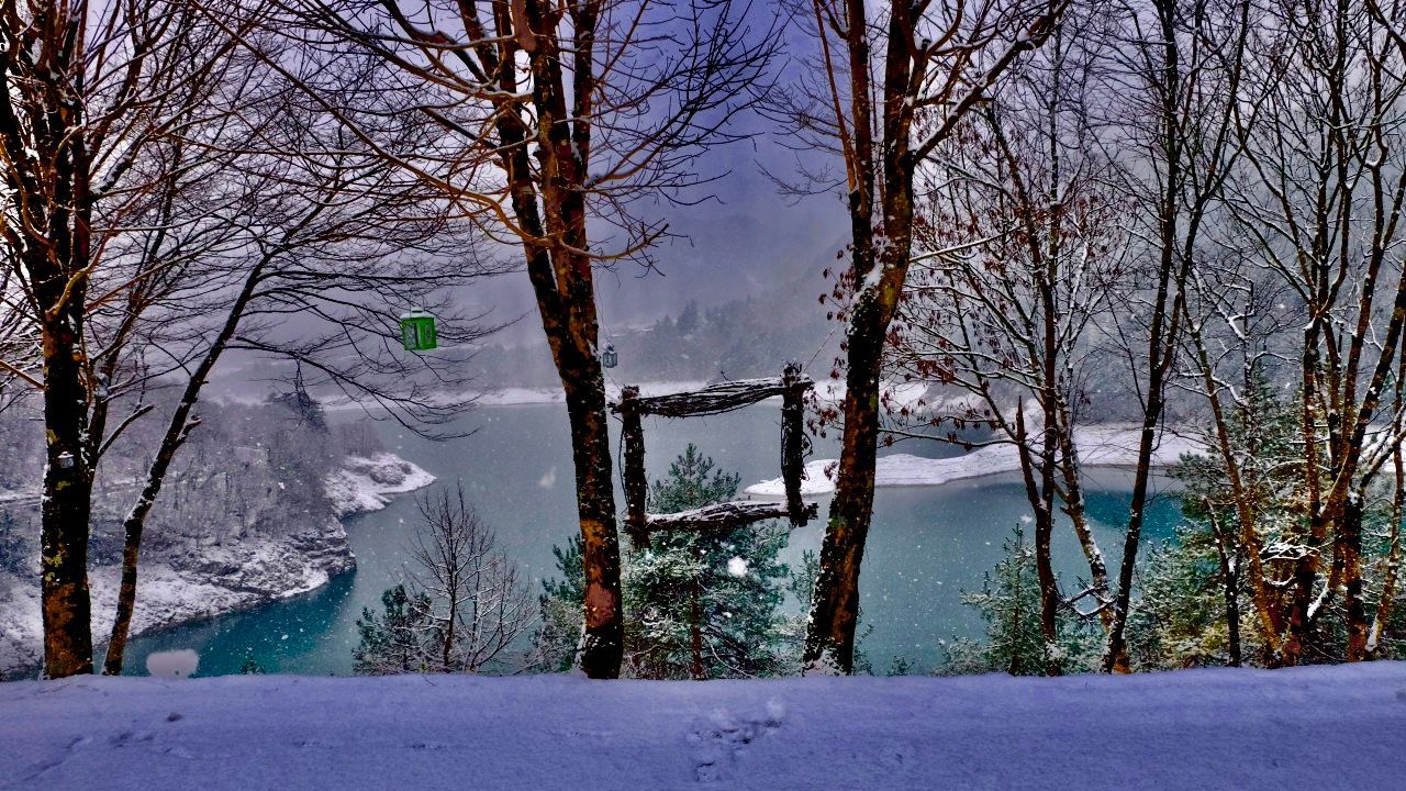 Détente au bord du lac