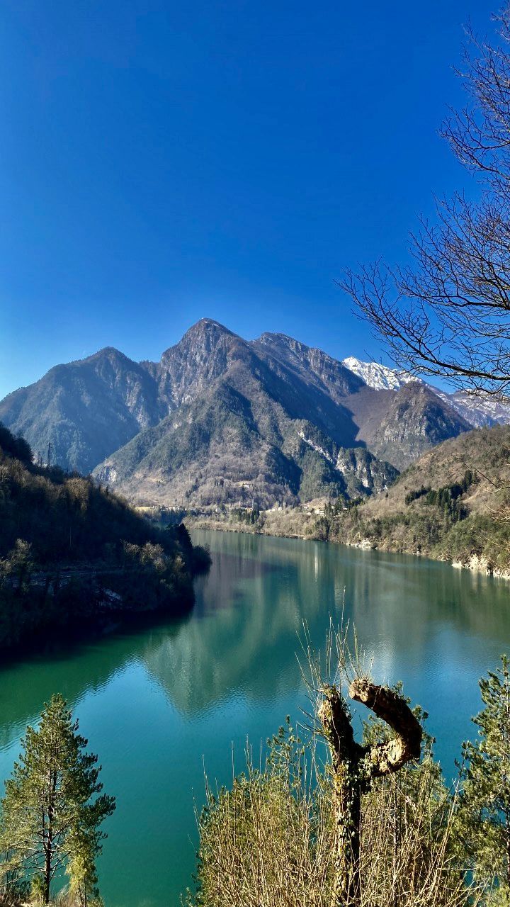 Détente au bord du lac