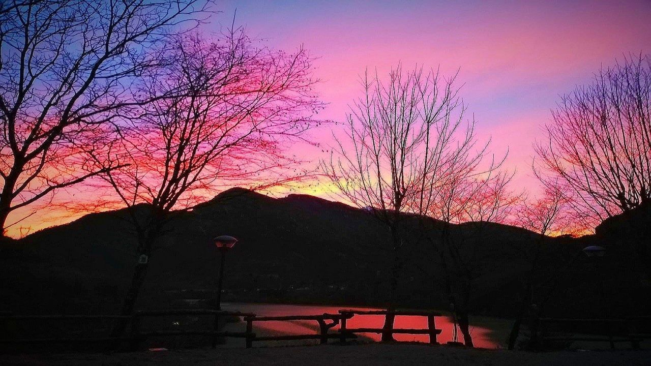 Détente au bord du lac