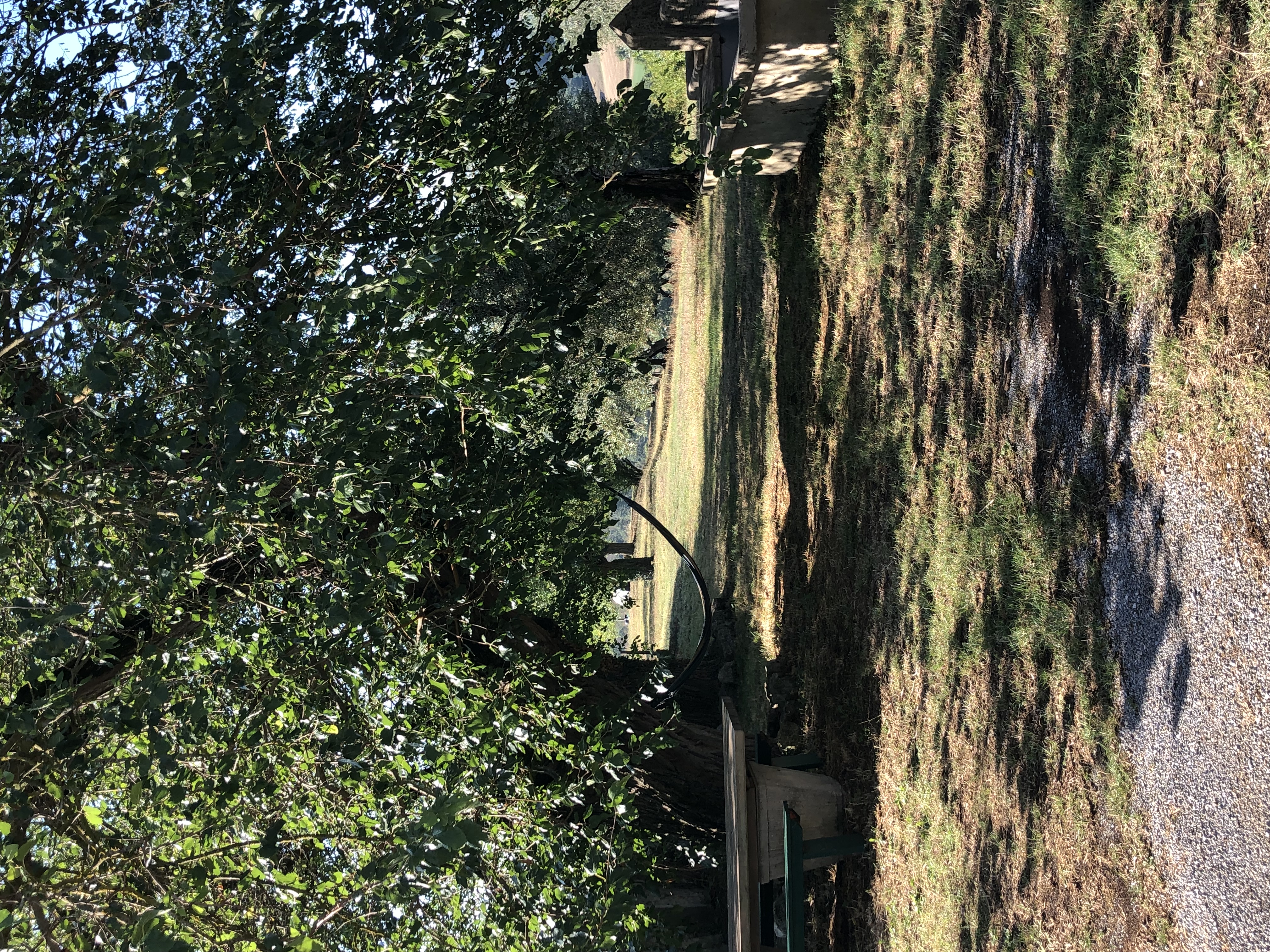 Camping in tenuta biologica a Siena