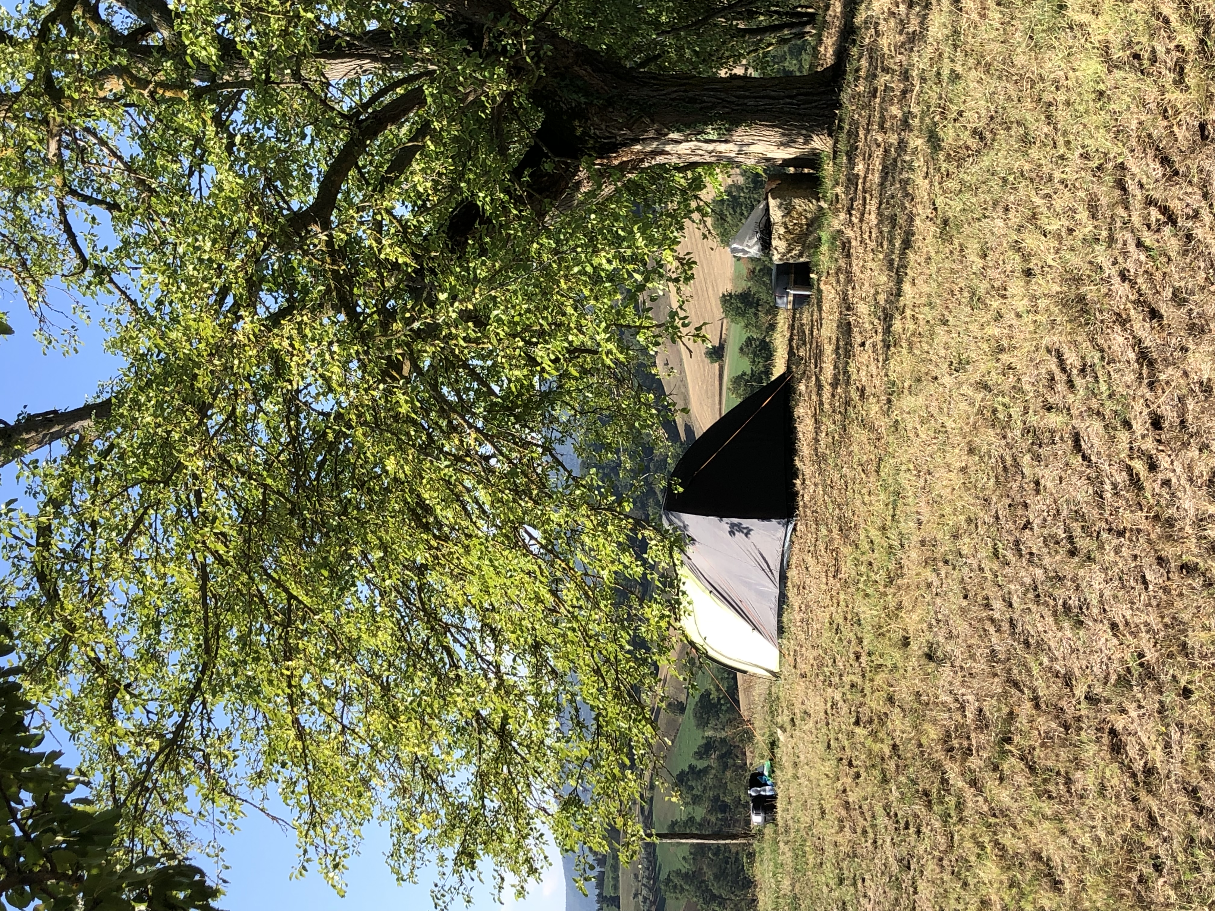 Camping in tenuta biologica a Siena