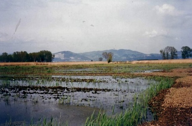 Esperienza nella palude di Pistoia
