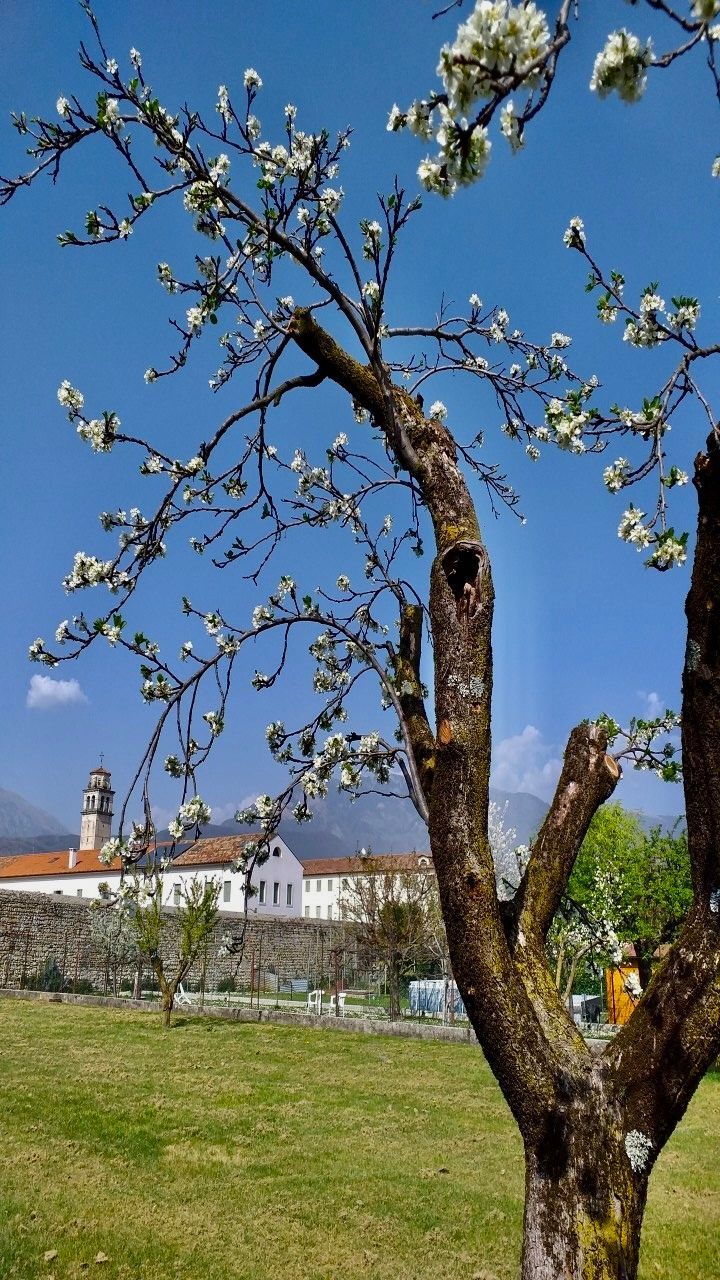 Garden within the ancient walls of Treviso