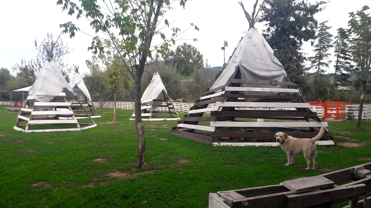 Ferme de vaches Morena