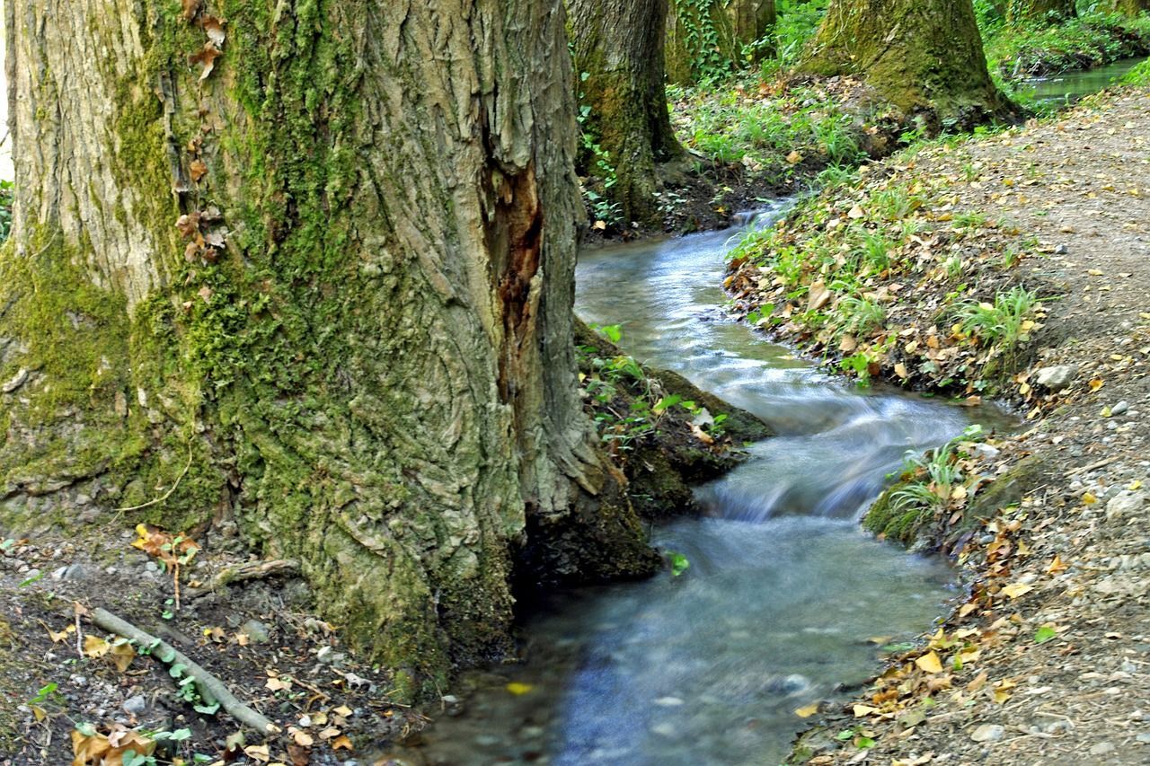 Unterschlupf am Fluss