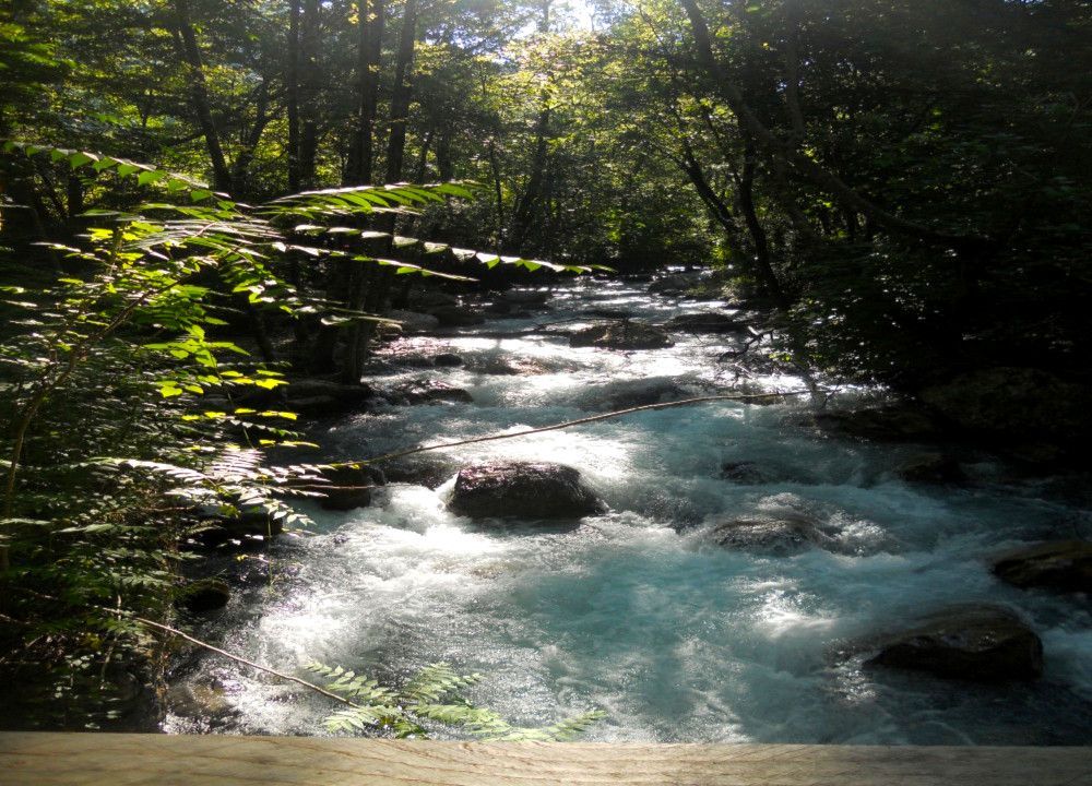 Unterschlupf am Fluss