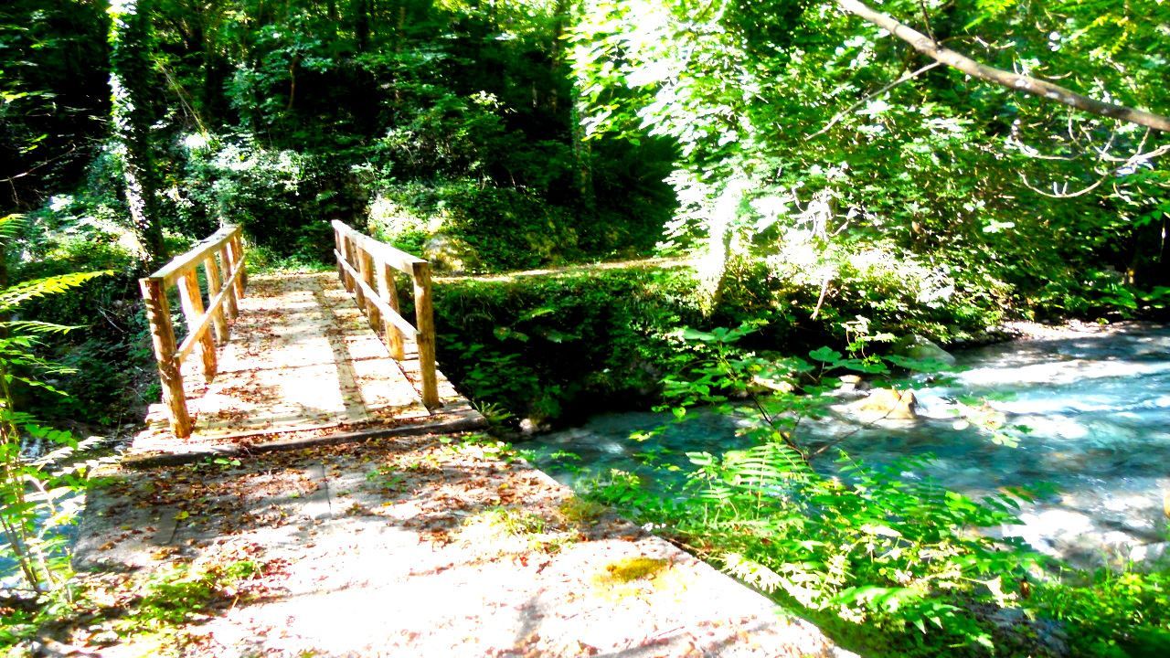 Unterschlupf am Fluss