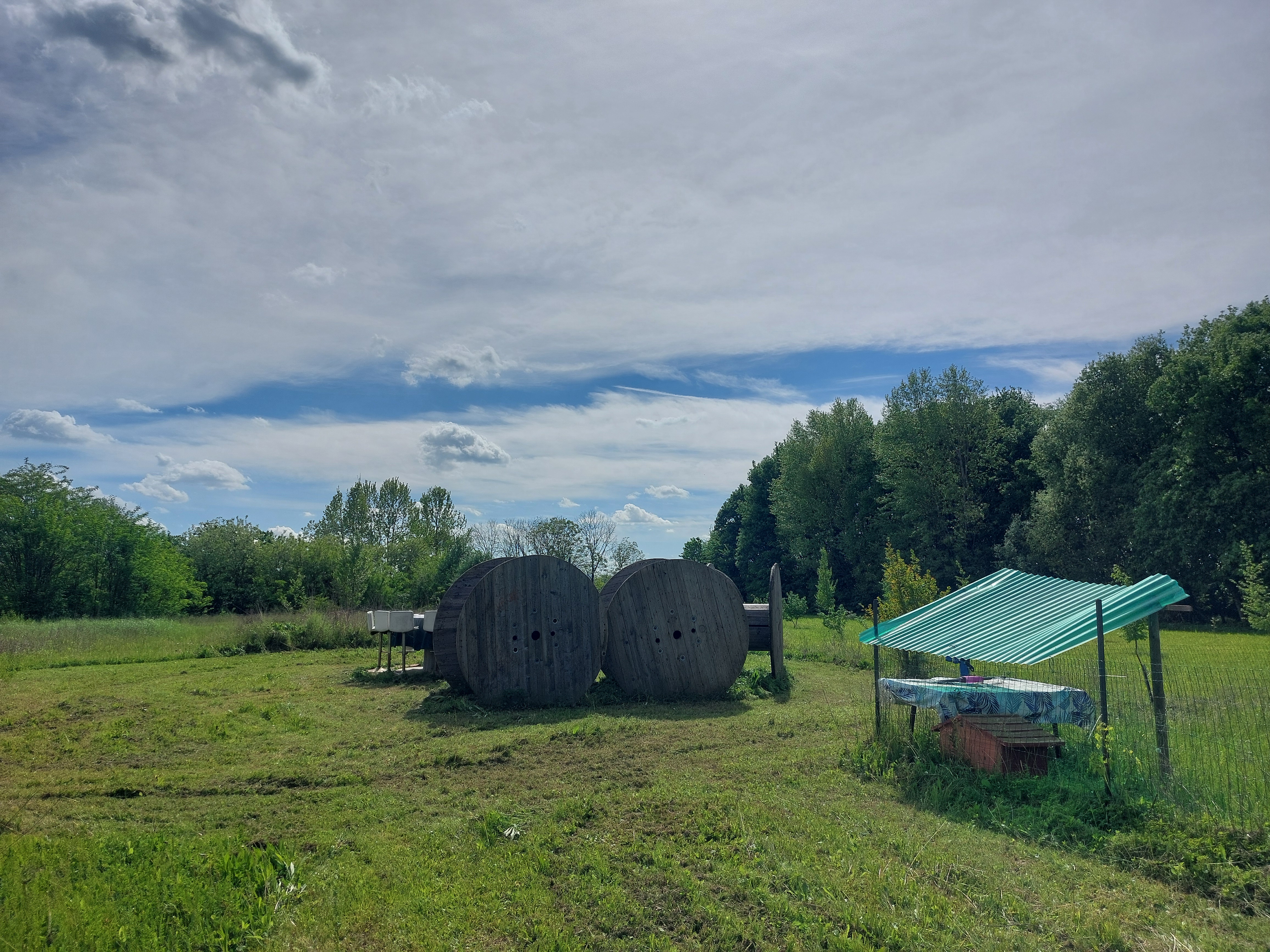 Erdbeerfelder