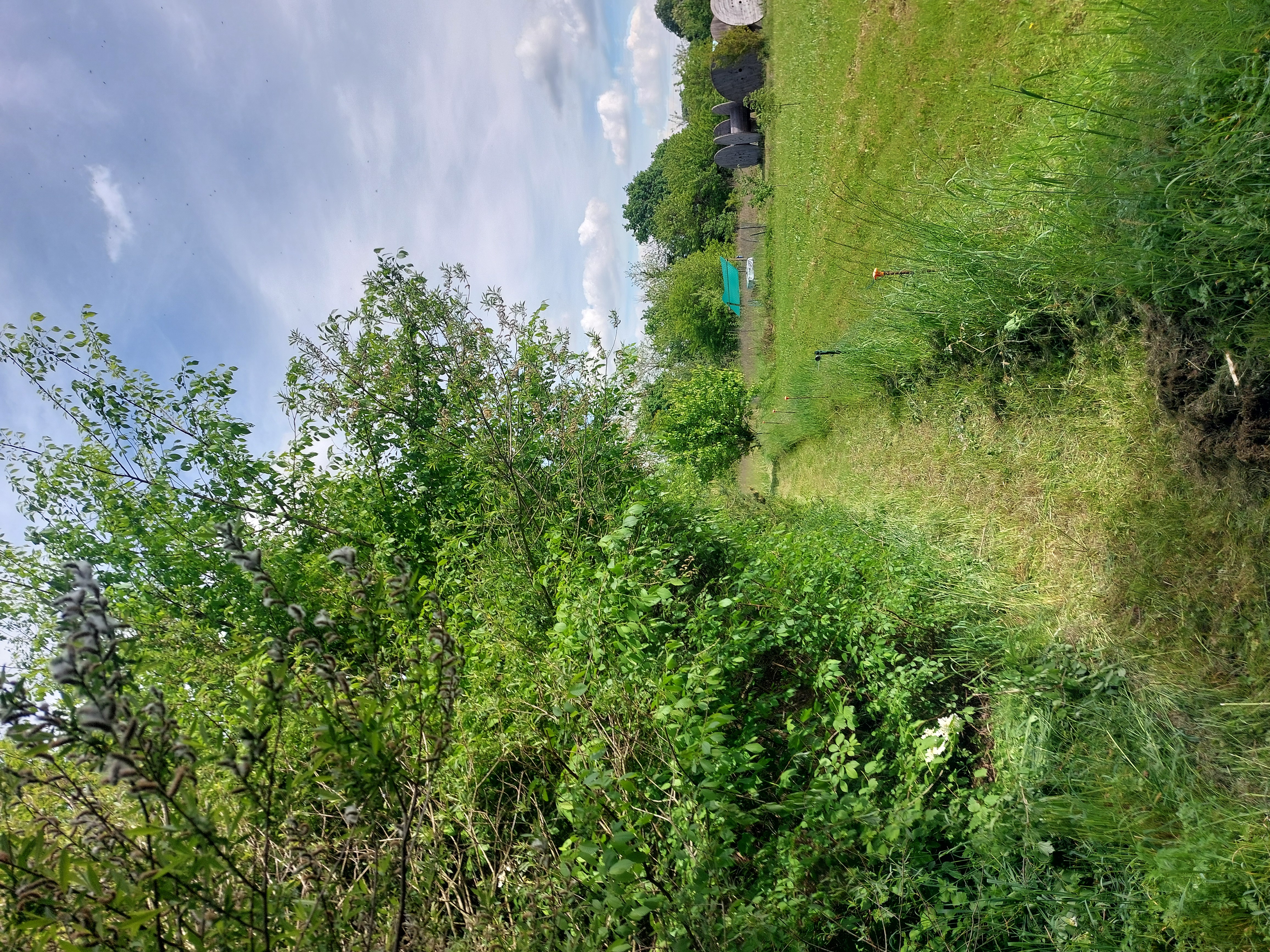 Erdbeerfelder