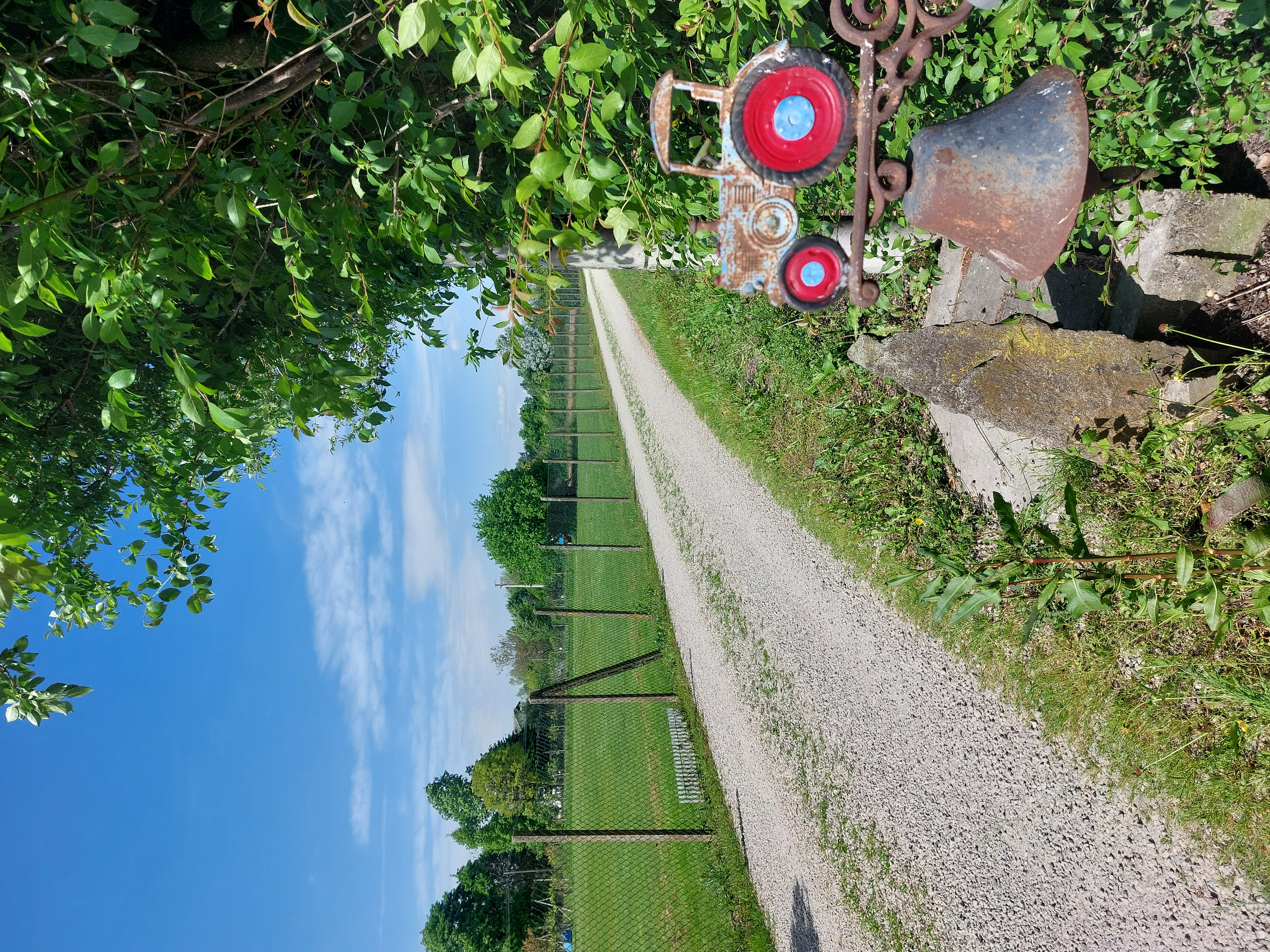 Erdbeerfelder