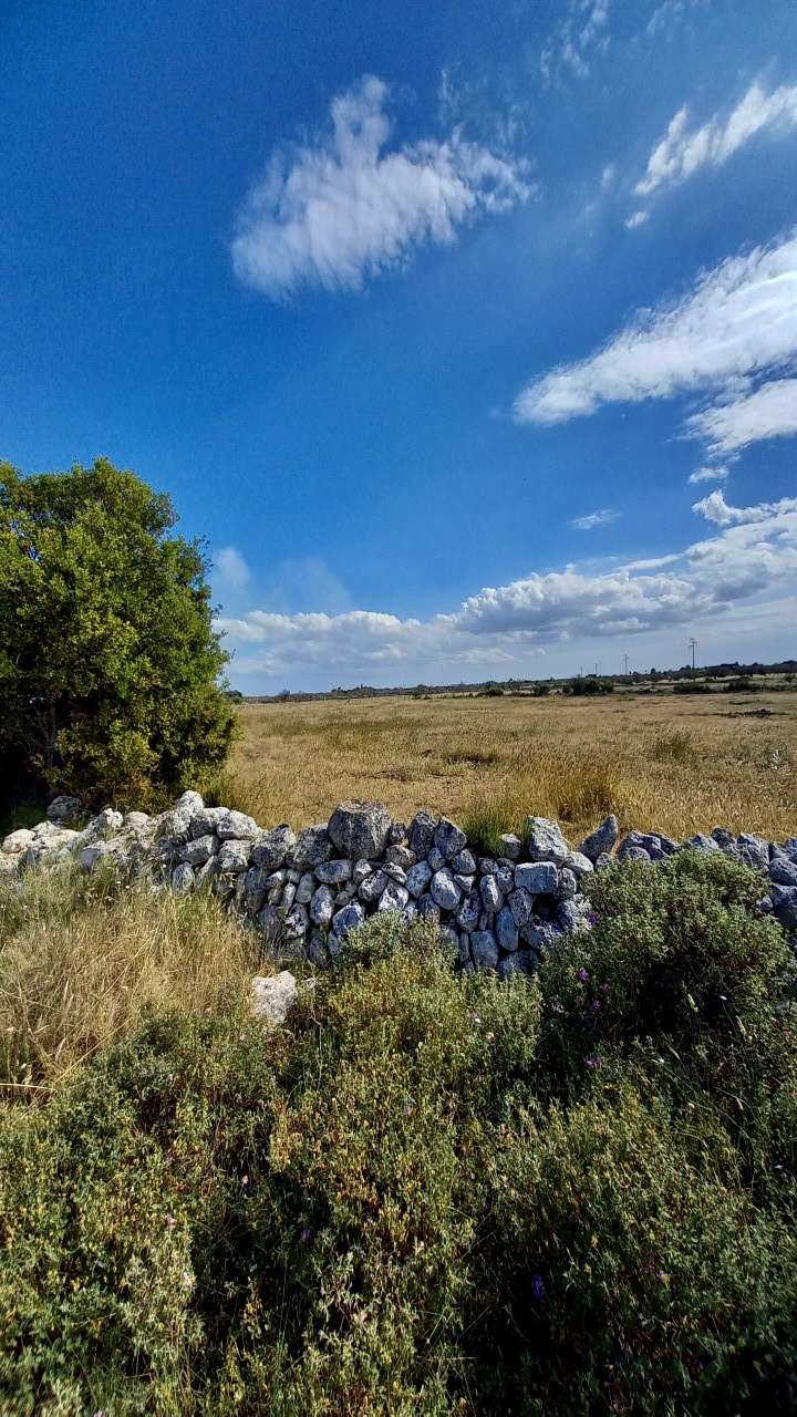 "La Fenice" Agriturismo nel Salento