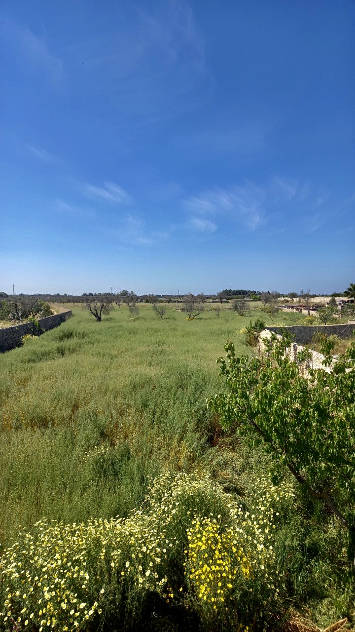 "La Fenice" Agriturismo nel Salento