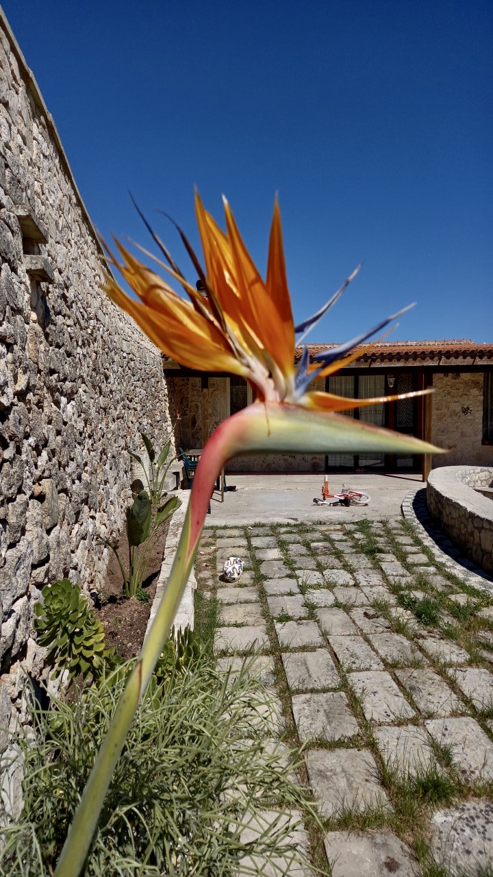 "La Fenice" Agriturismo nel Salento