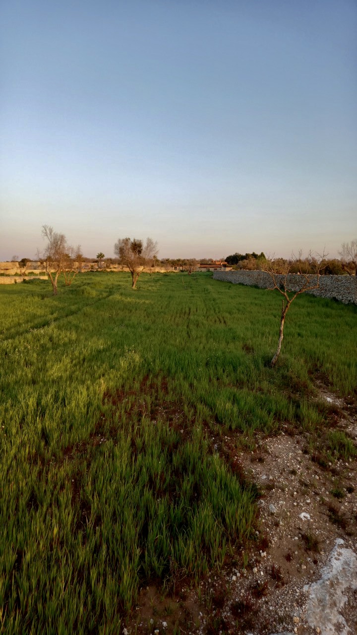 "La Fenice" Agriturismo nel Salento