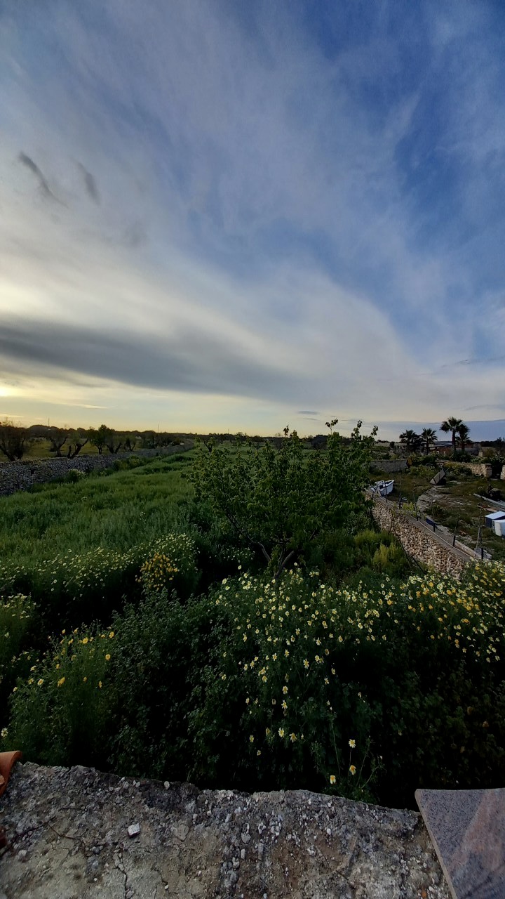 "La Fenice" Agriturismo nel Salento