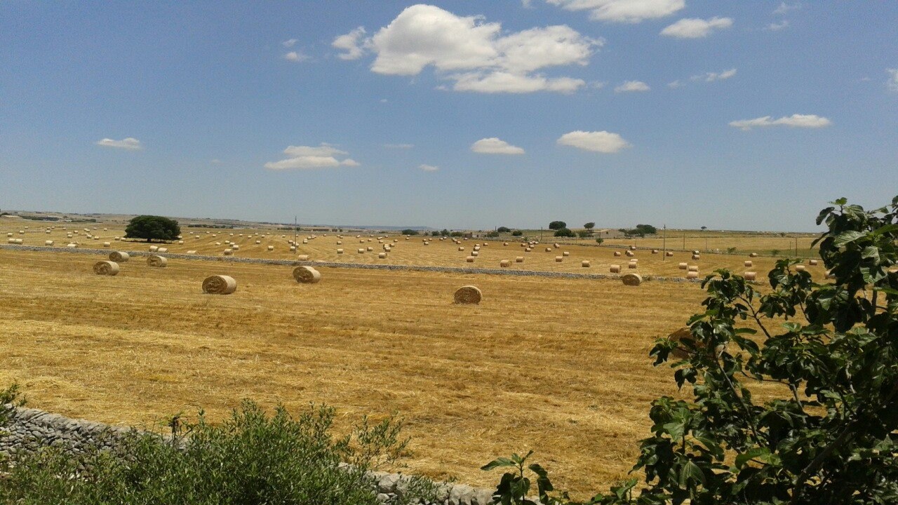 Giardino di campagna