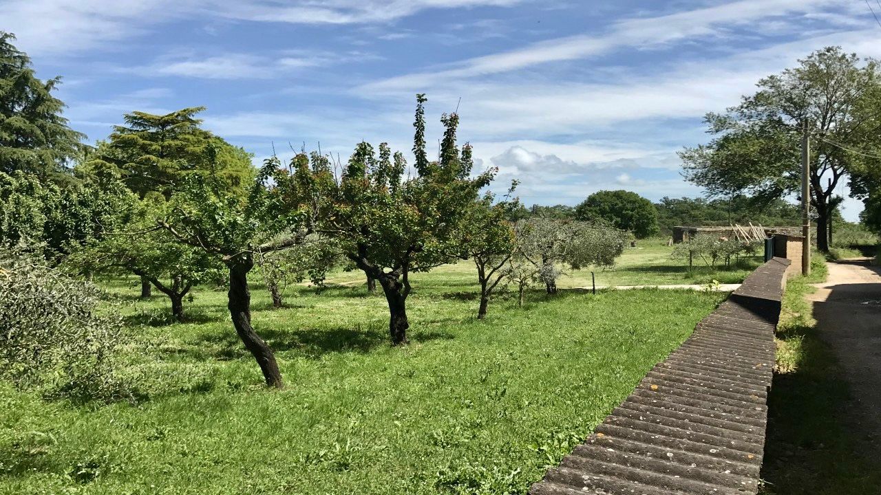 Nepi Landscape Trail: History, Nature and Taste