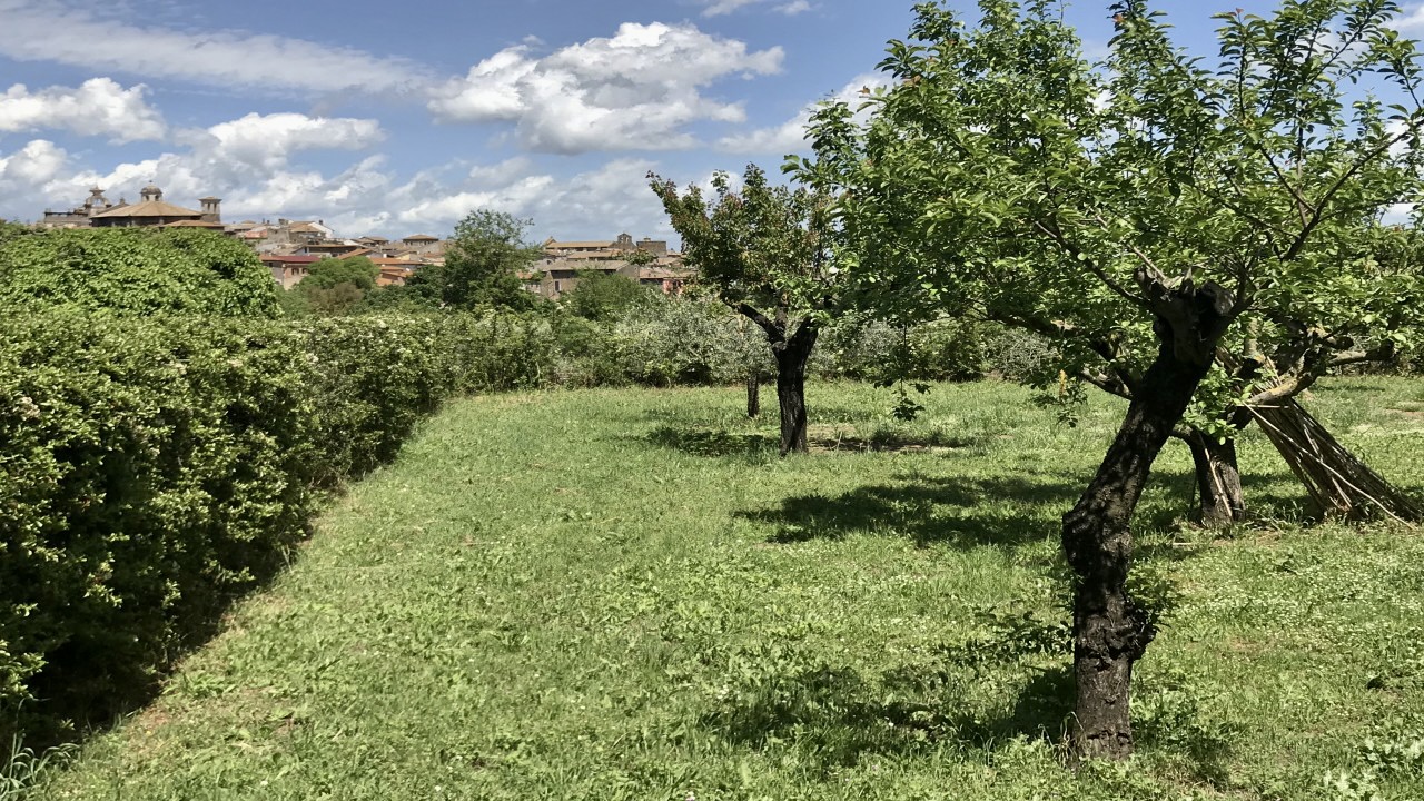 Nepi Landscape Trail: History, Nature and Taste