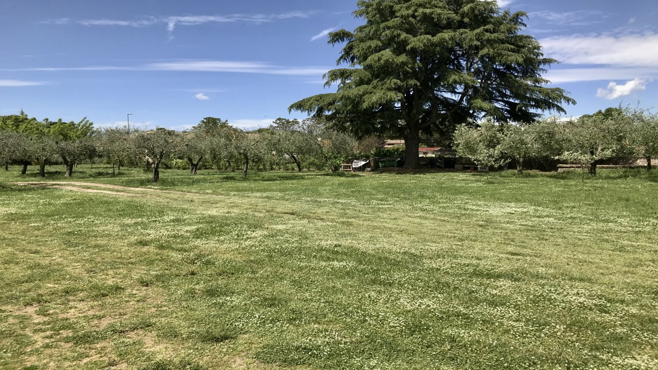 Nepi Landscape Trail: History, Nature and Taste