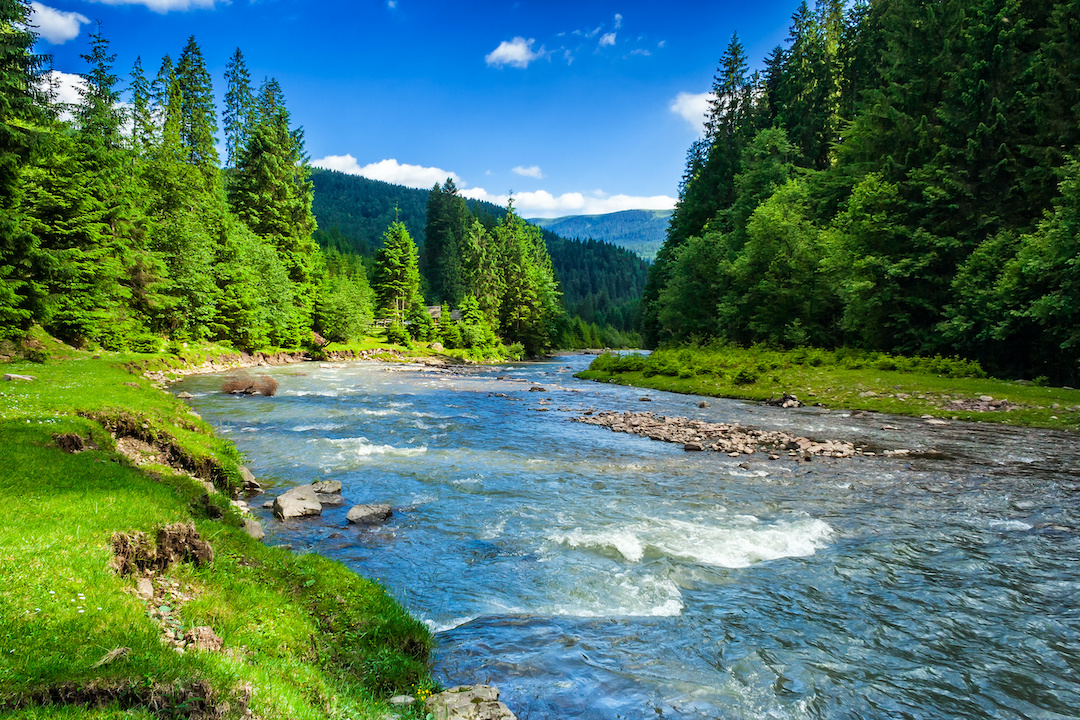 Il bosco del Ca-Jo in provincia di Cuneo