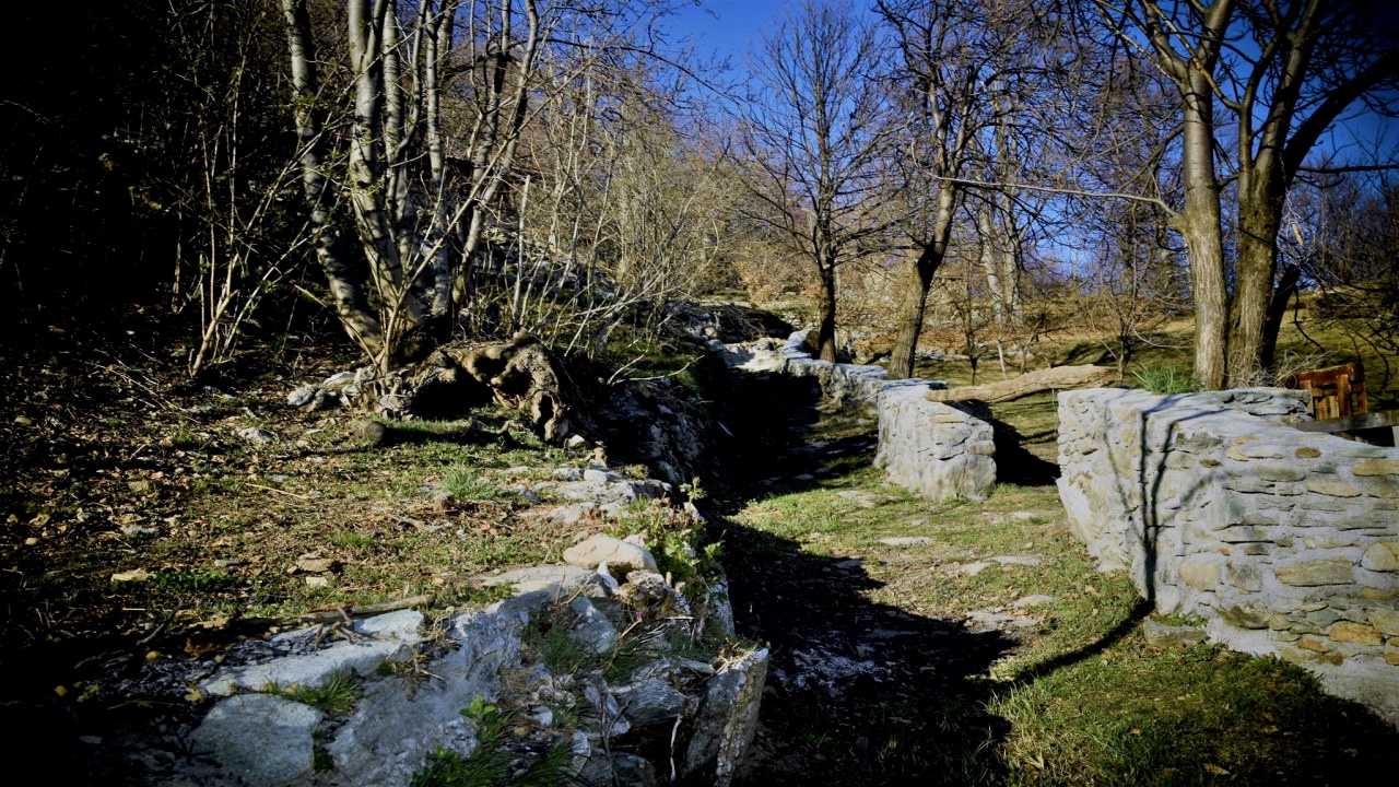 Il bosco del Ca-Jo in provincia di Cuneo