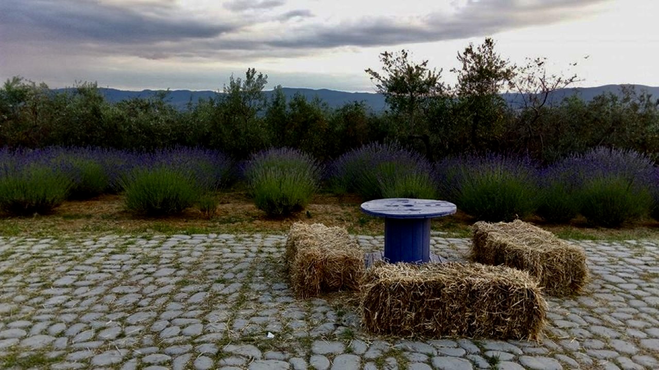 Tramonto toscano in mezzo alla lavanda
