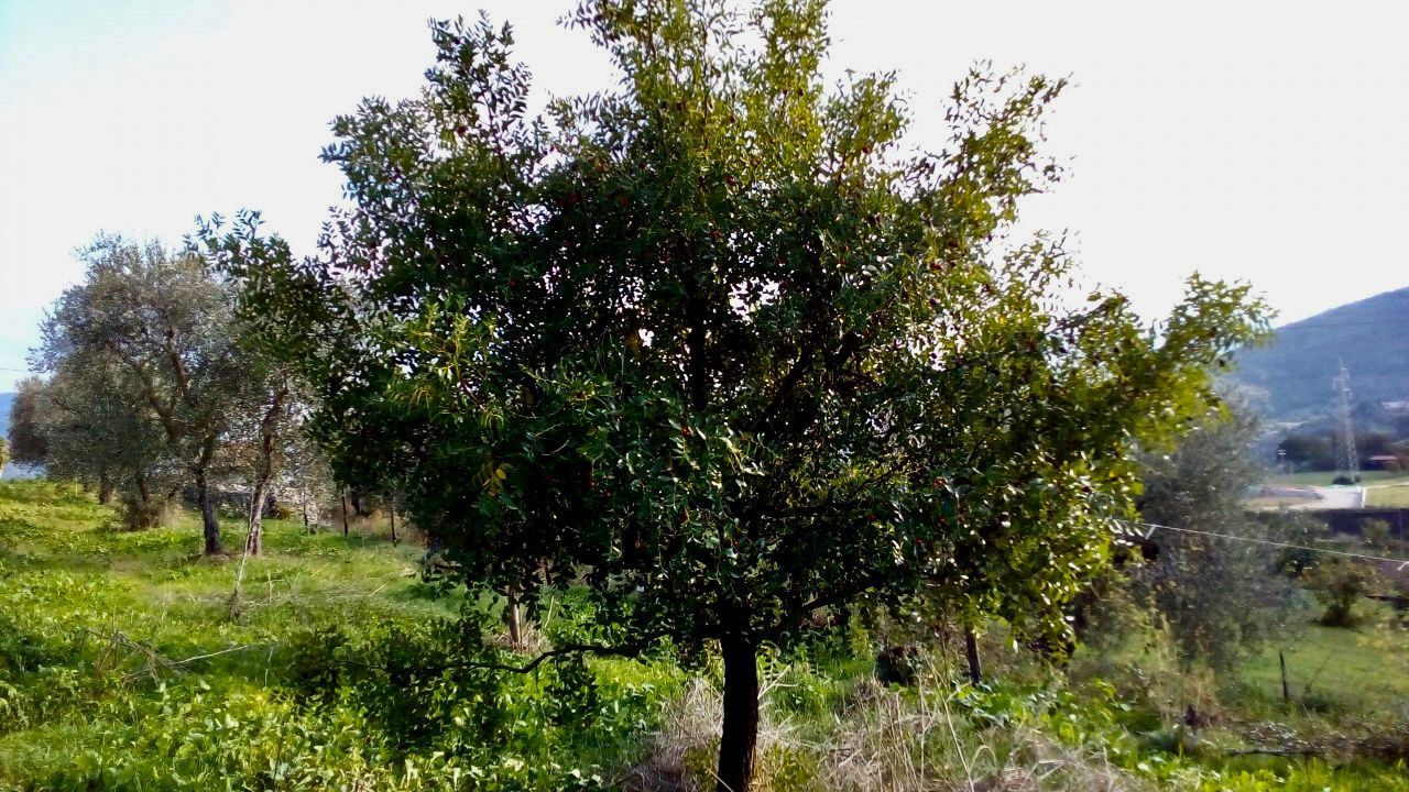 Spazio Verde Parco Nazionale del Cilento Vallo Diano Alburni