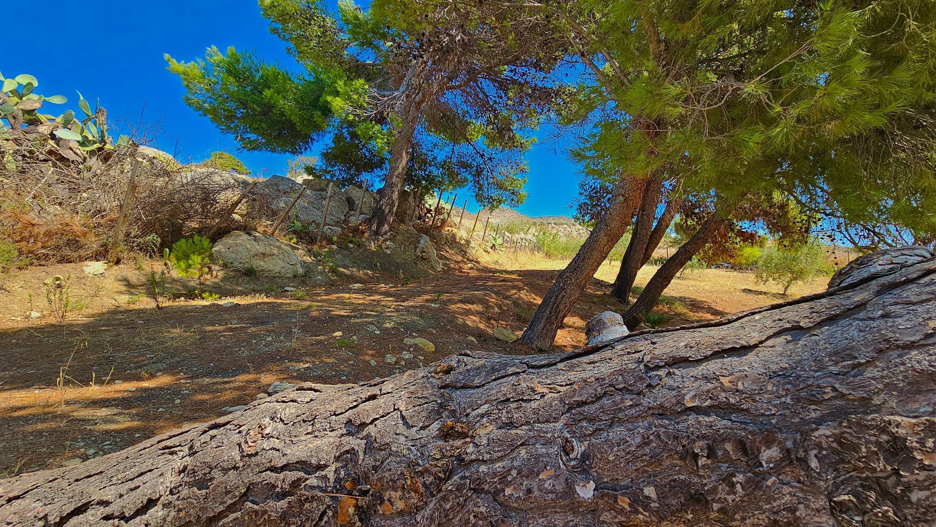 An unspoilt paradise in a protected oasis in Agrigento