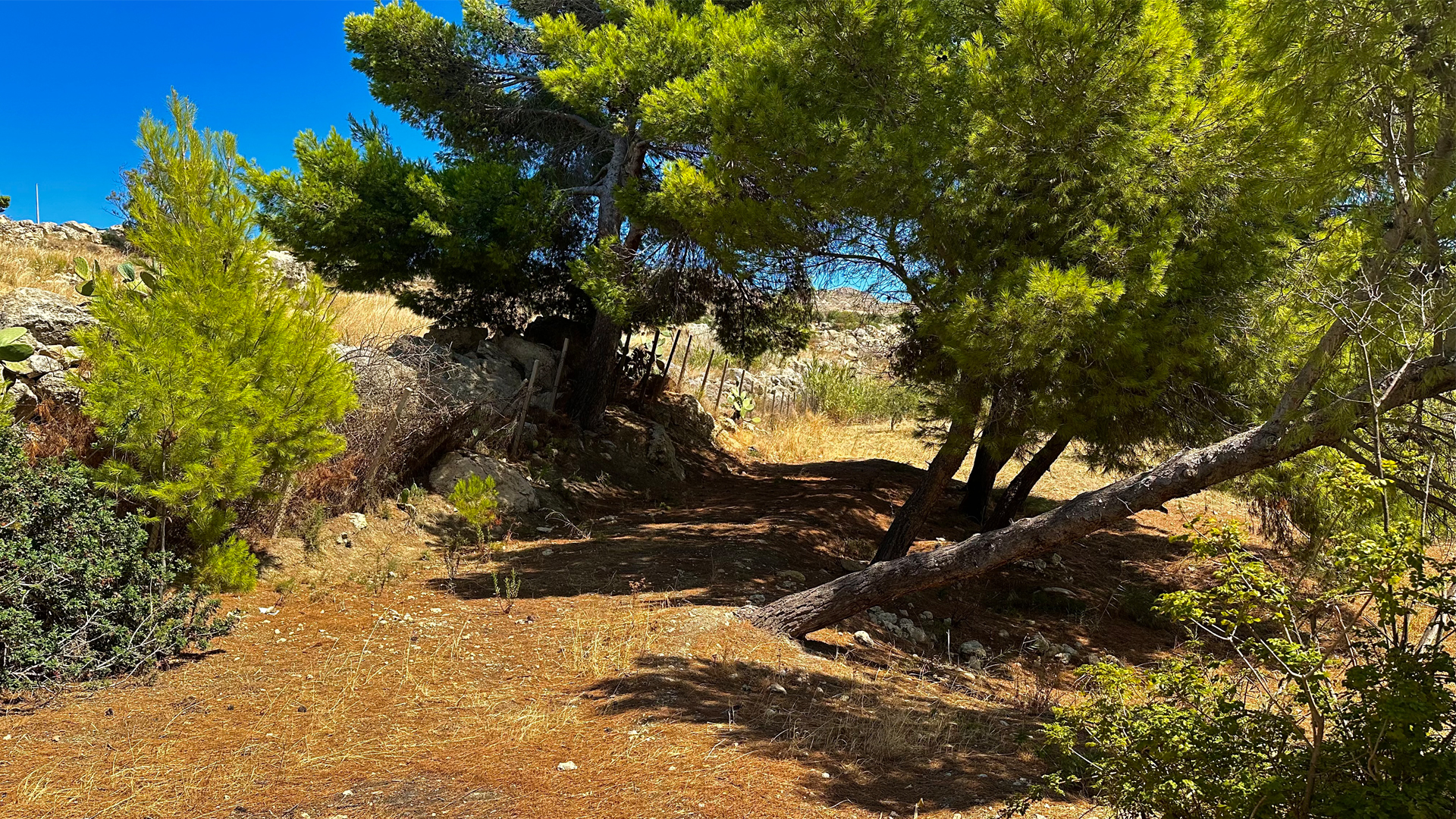 An unspoilt paradise in a protected oasis in Agrigento