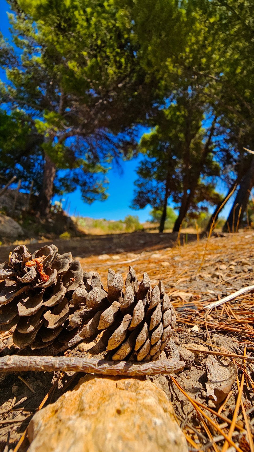 An unspoilt paradise in a protected oasis in Agrigento