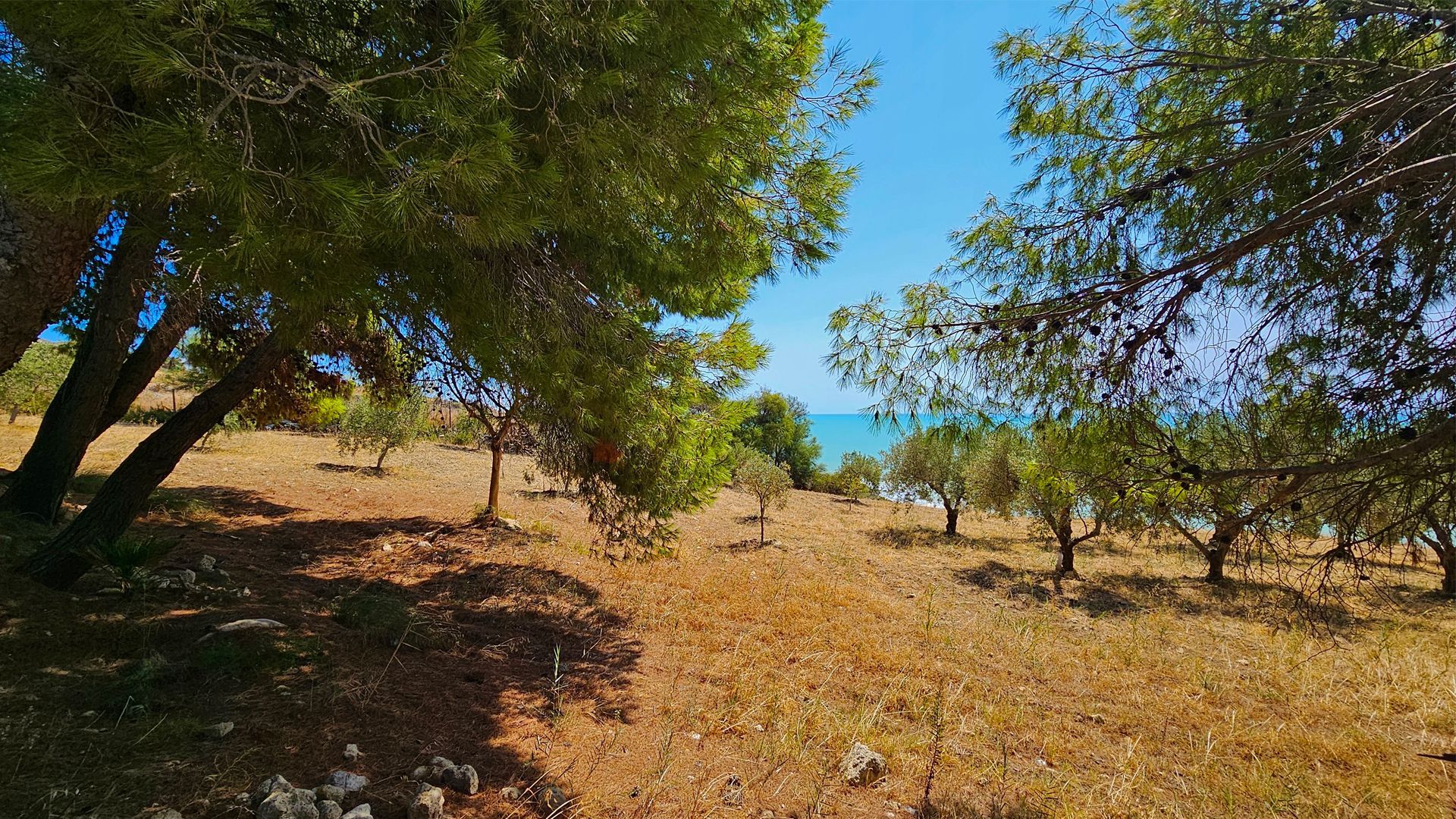 An unspoilt paradise in a protected oasis in Agrigento