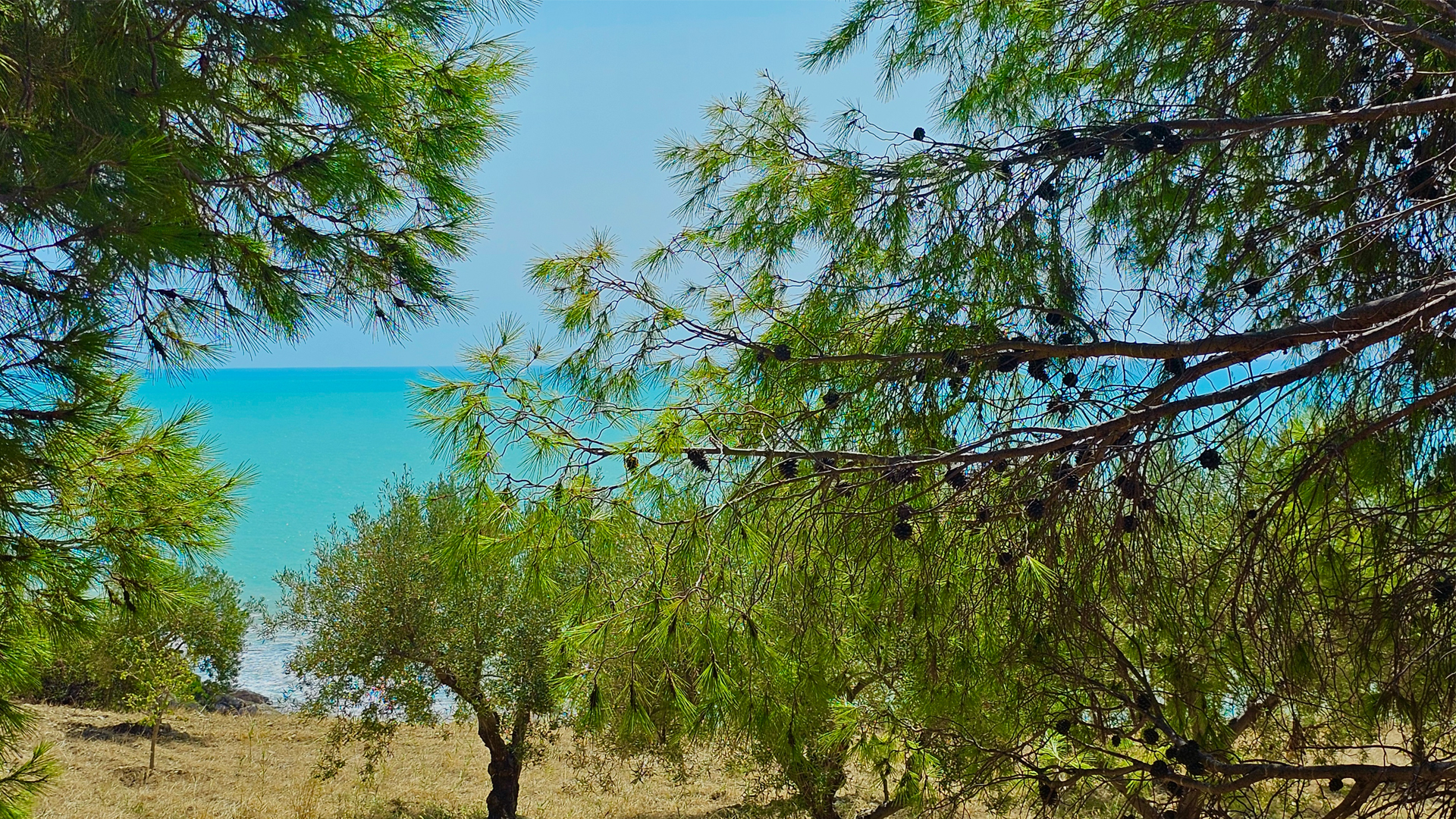 An unspoilt paradise in a protected oasis in Agrigento