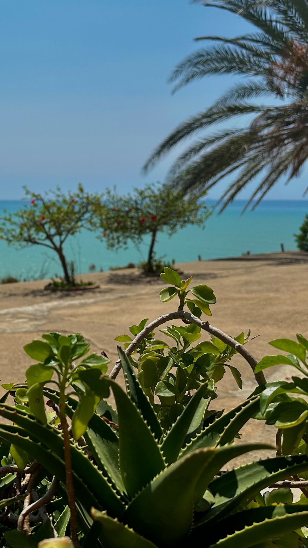 An unspoilt paradise in a protected oasis in Agrigento