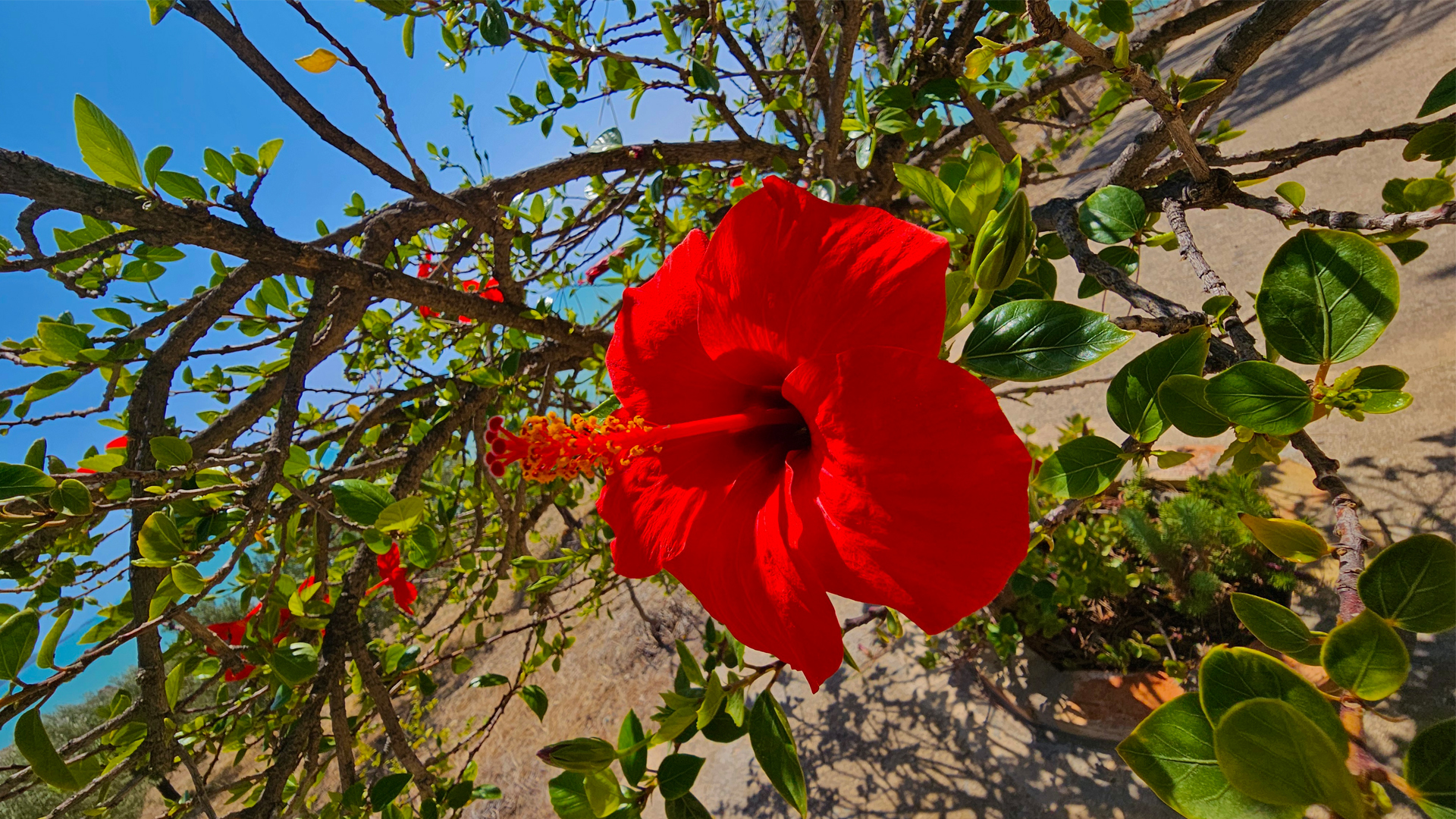An unspoilt paradise in a protected oasis in Agrigento